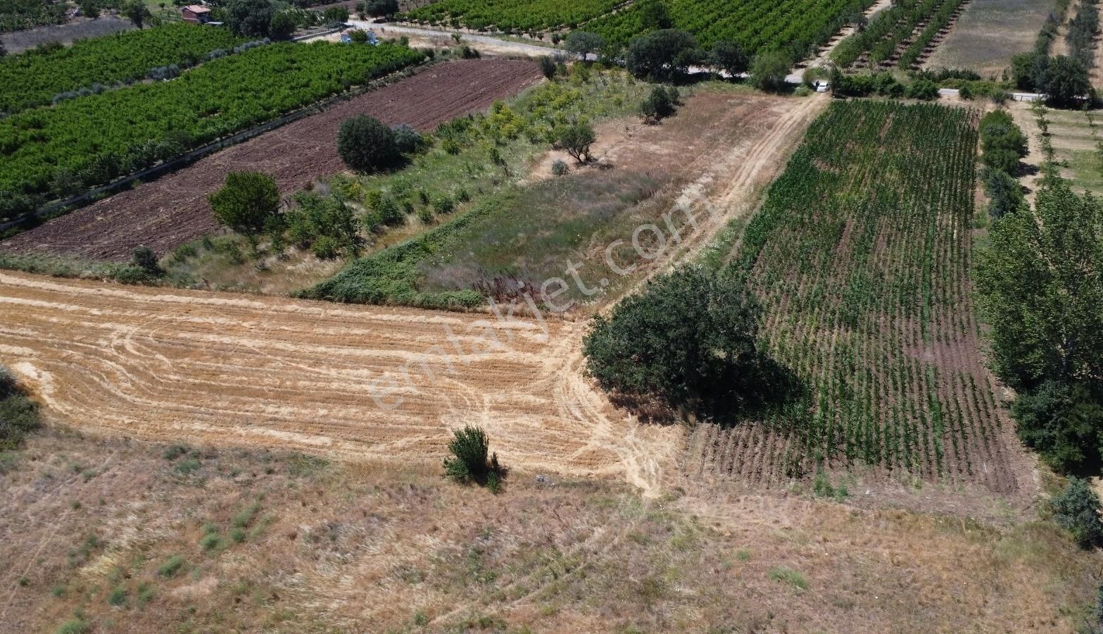 Çanakkale Bayramiç Saçaklı Satılık Tarla - Görsel 5
