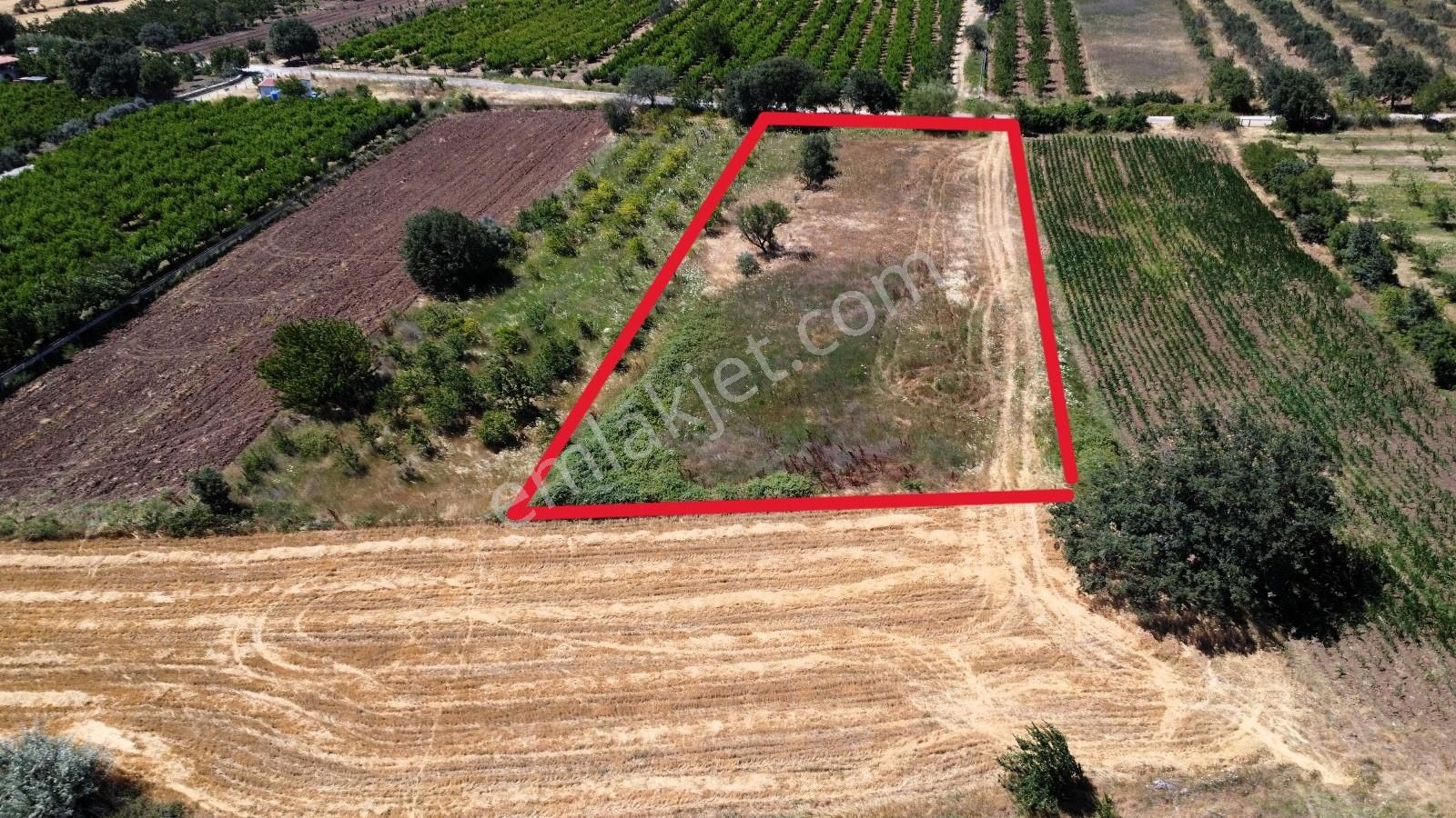 Çanakkale Bayramiç Saçaklı Satılık Tarla - Görsel 2