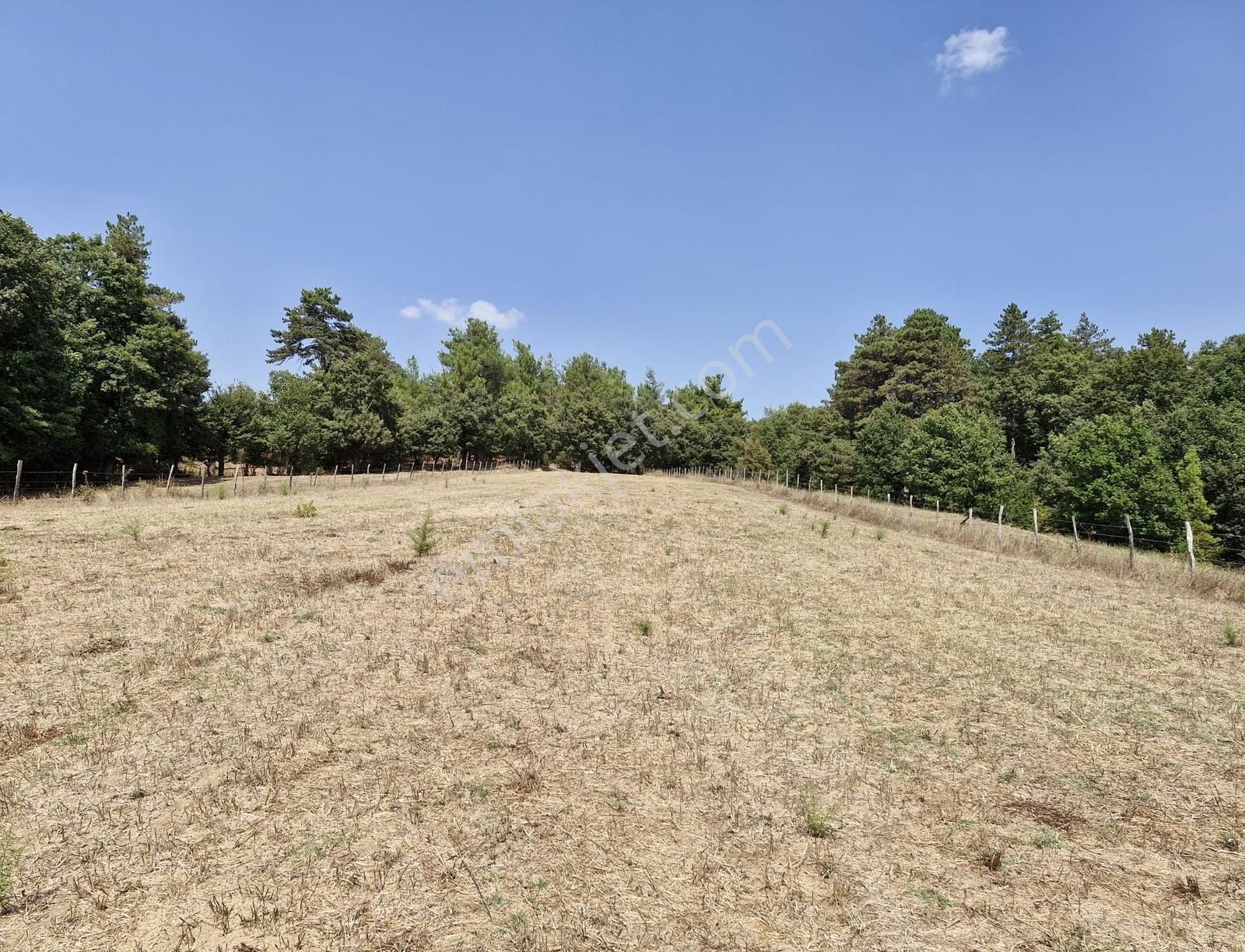 Çanakkale Yenice Çakıroba Satılık Tarla - Görsel 22