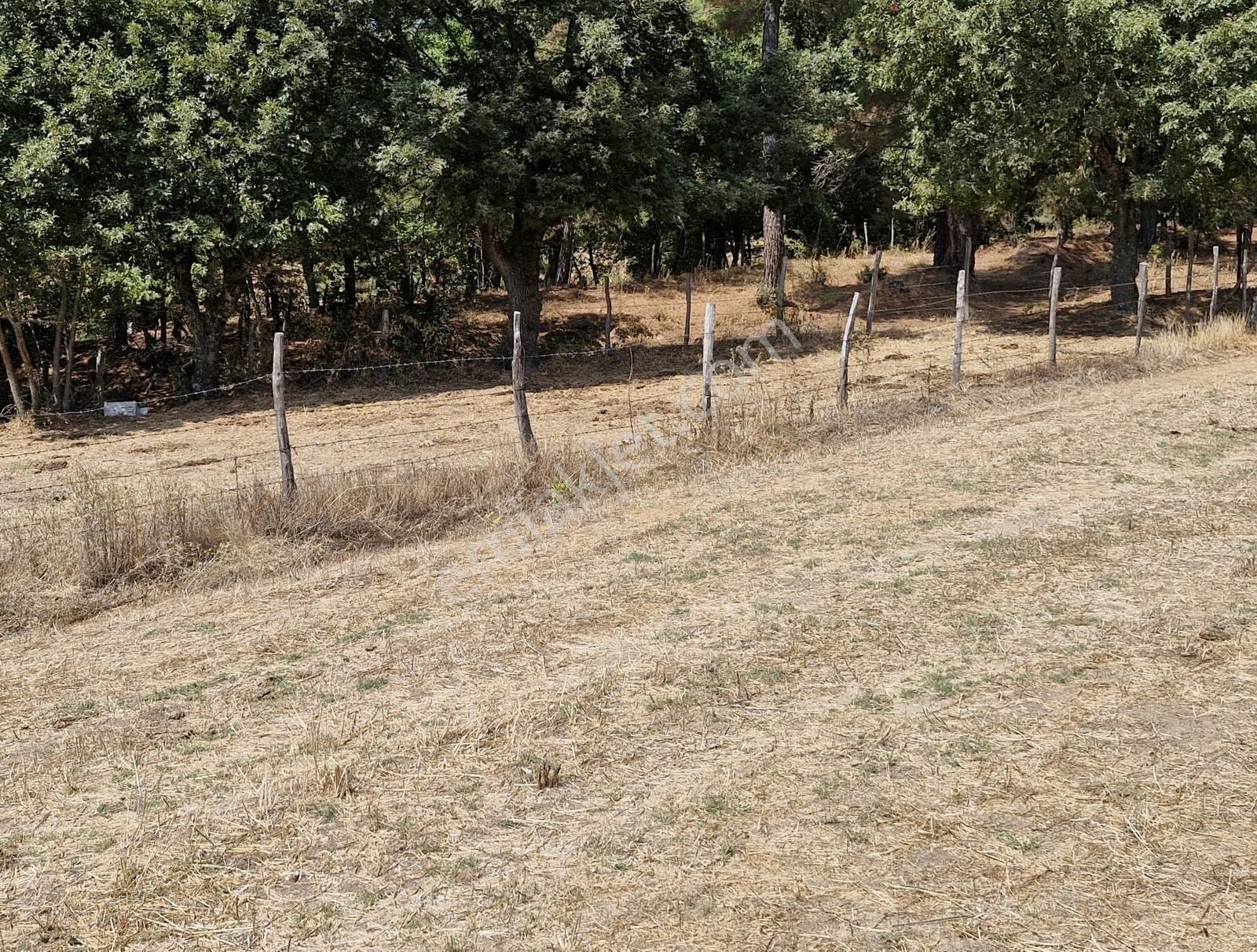 Çanakkale Yenice Çakıroba Satılık Tarla - Görsel 17