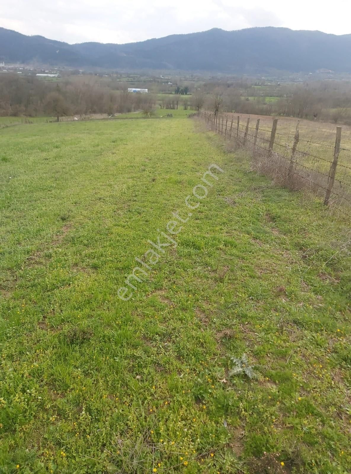 Çanakkale Yenice Çakıroba Satılık Tarla - Görsel 21