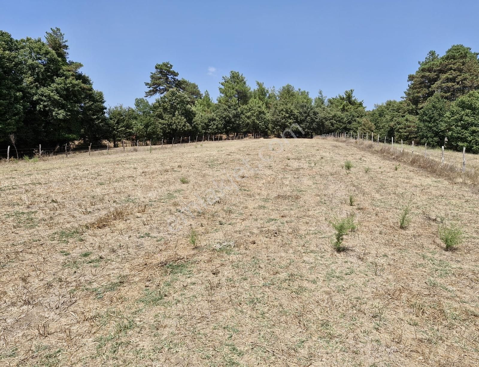 Çanakkale Yenice Çakıroba Satılık Tarla - Görsel 3