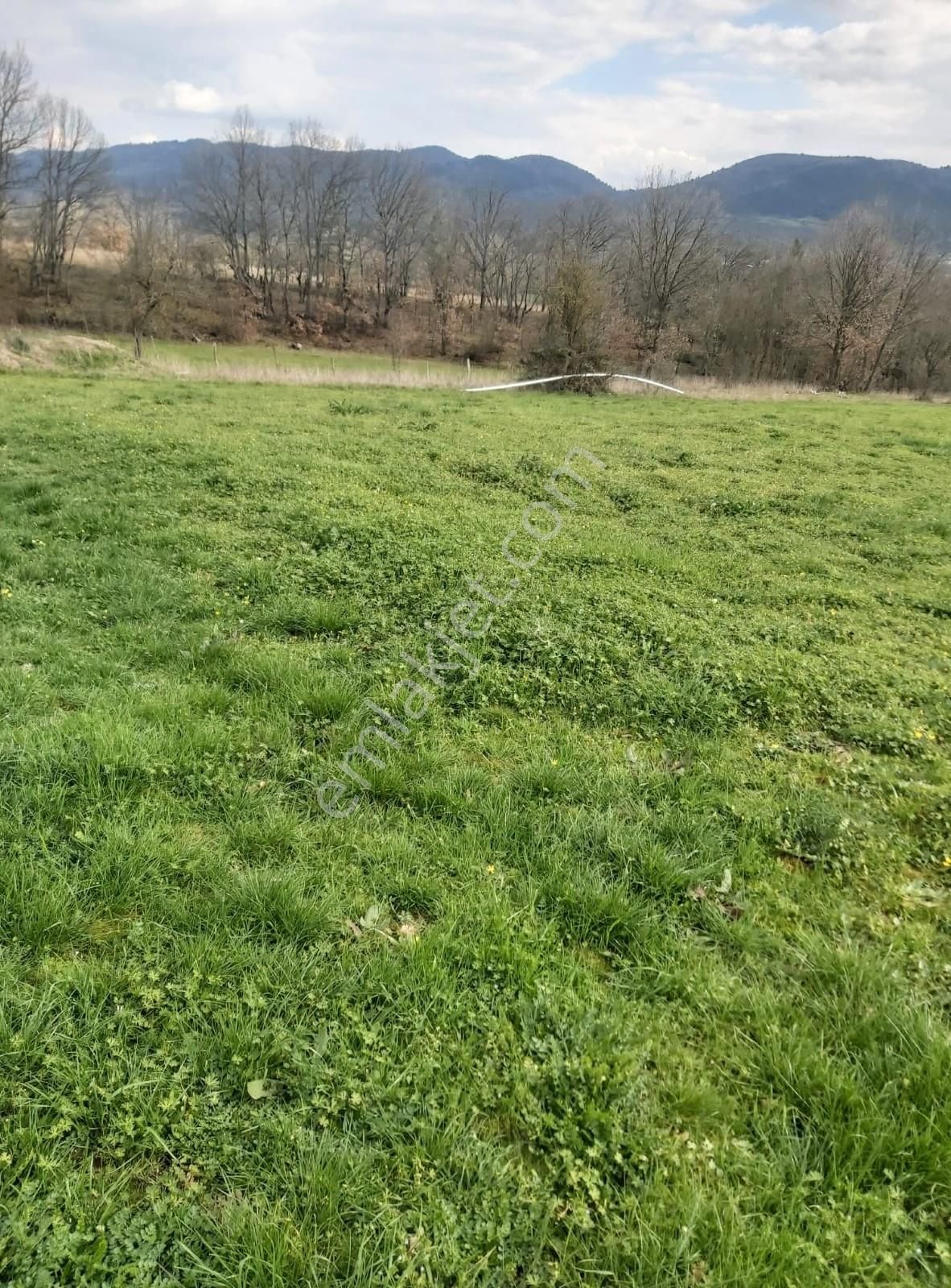 Çanakkale Yenice Çakıroba Satılık Tarla - Görsel 35