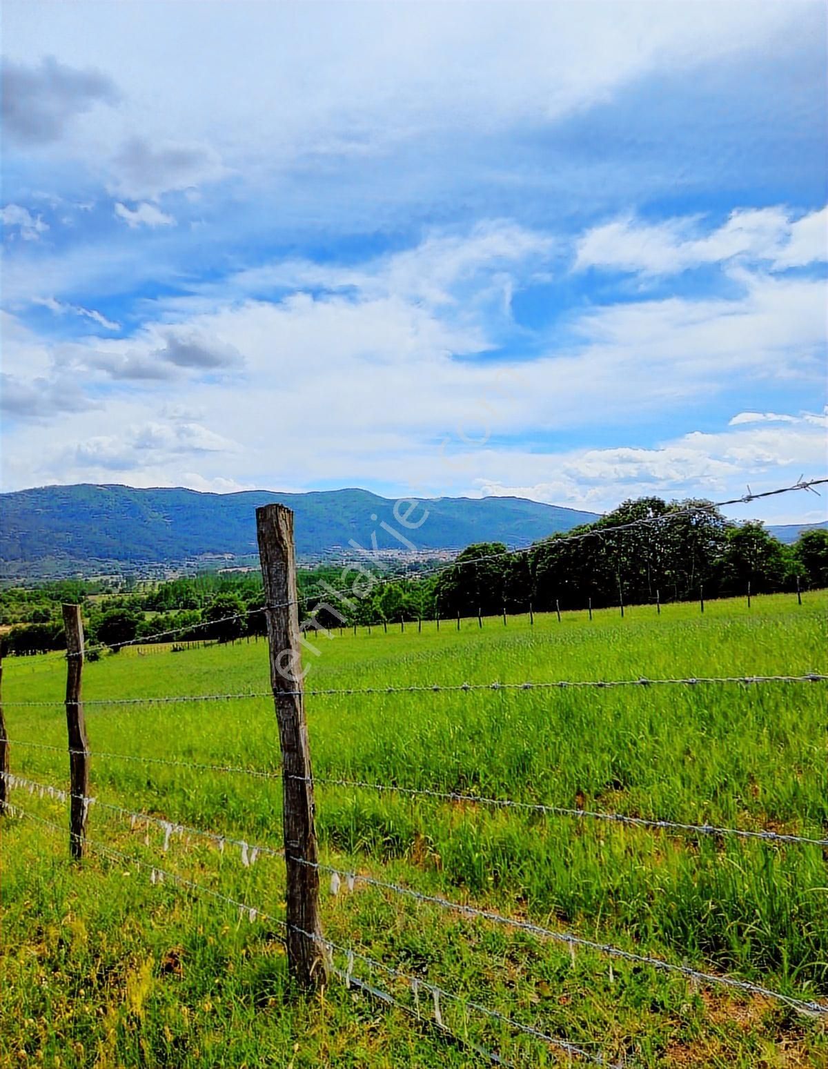 Çanakkale Yenice Çakıroba Satılık Tarla - Görsel 32