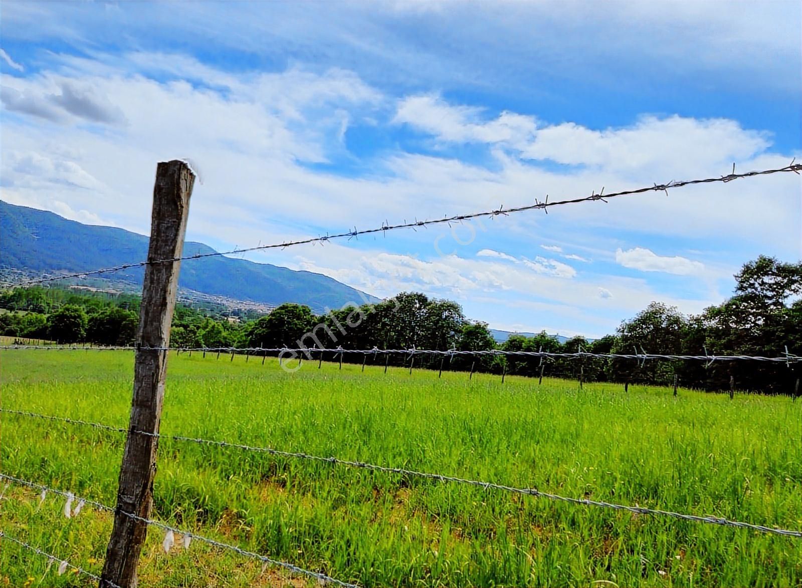 Çanakkale Yenice Çakıroba Satılık Tarla - Görsel 30