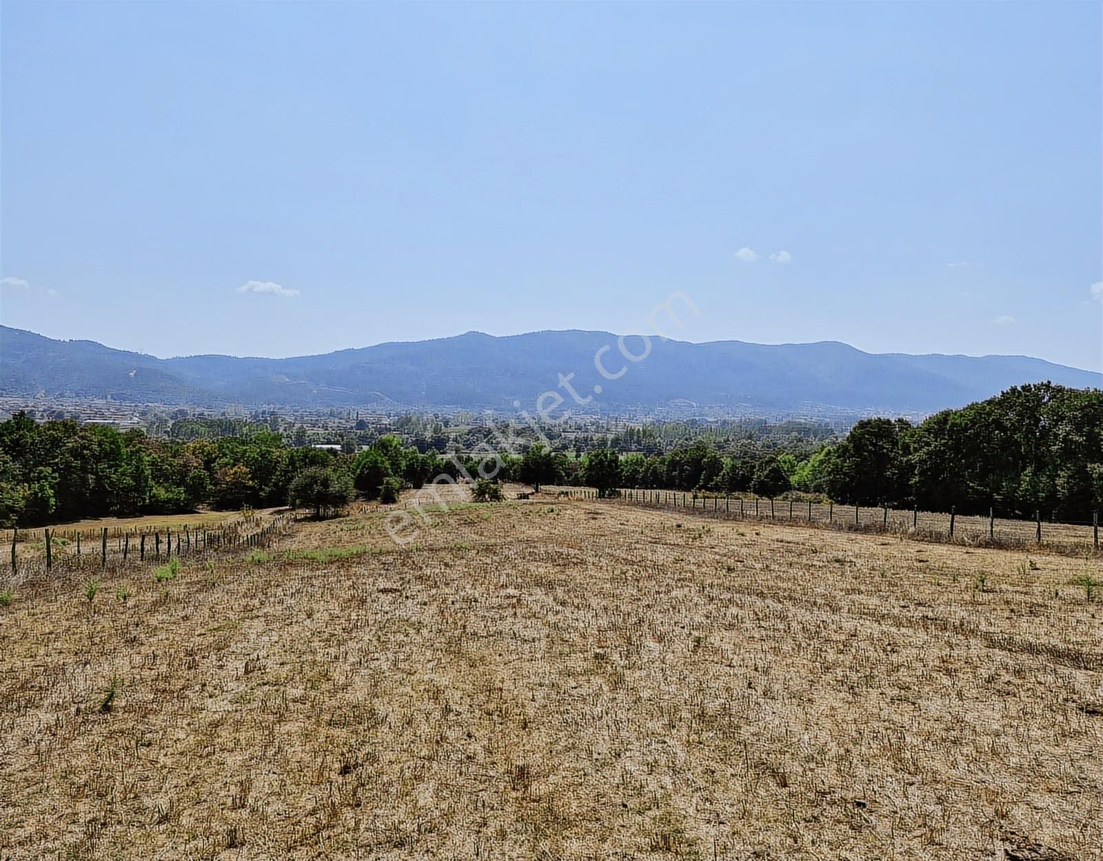 Çanakkale Yenice Çakıroba Satılık Tarla - Görsel 2