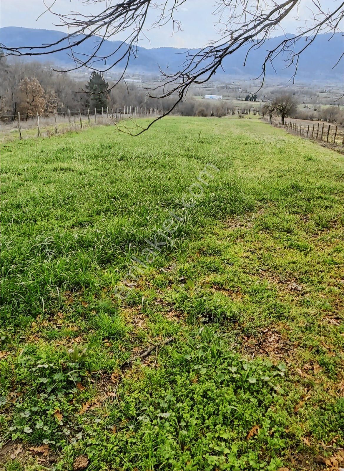 Çanakkale Yenice Çakıroba Satılık Tarla - Görsel 20