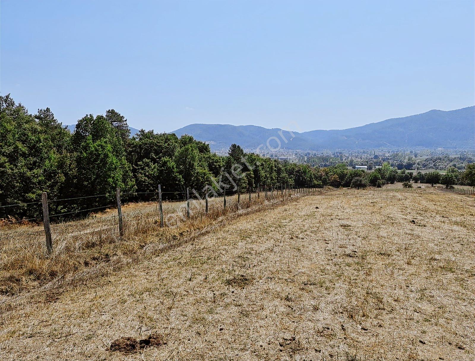 Çanakkale Yenice Çakıroba Satılık Tarla - Görsel 10