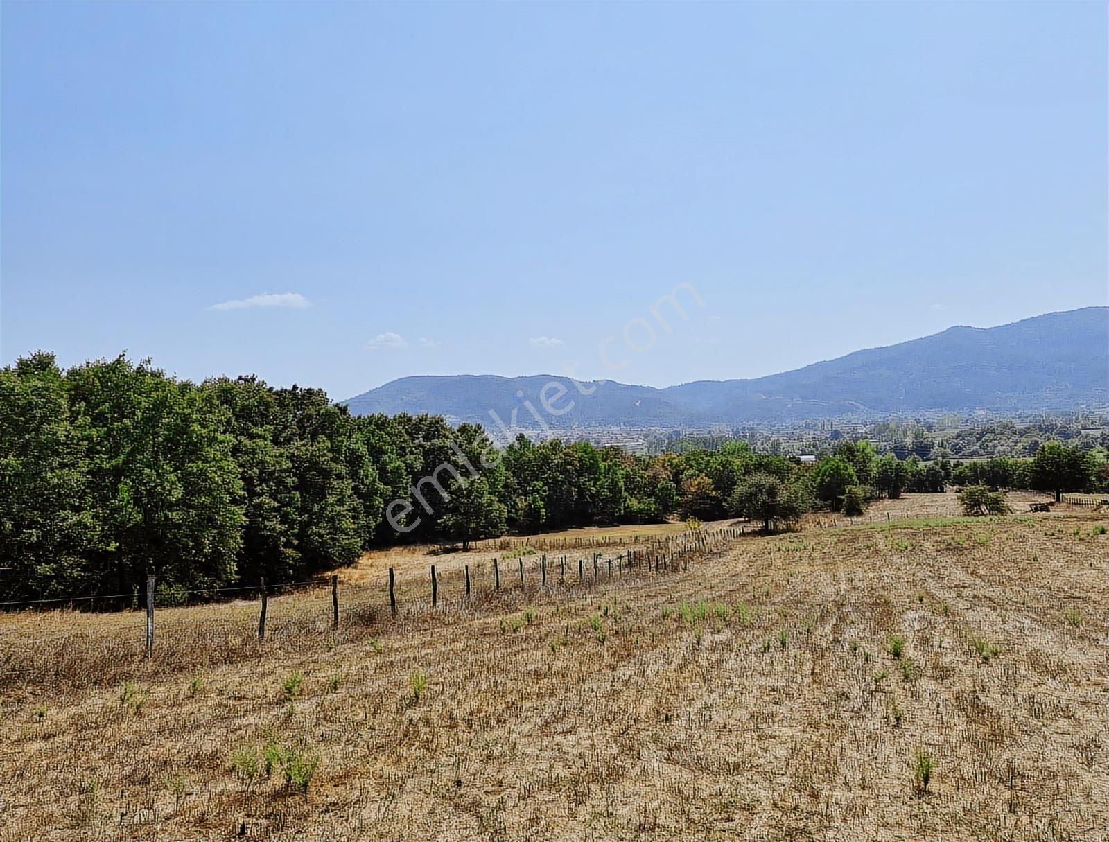 Çanakkale Yenice Çakıroba Satılık Tarla - Görsel 8
