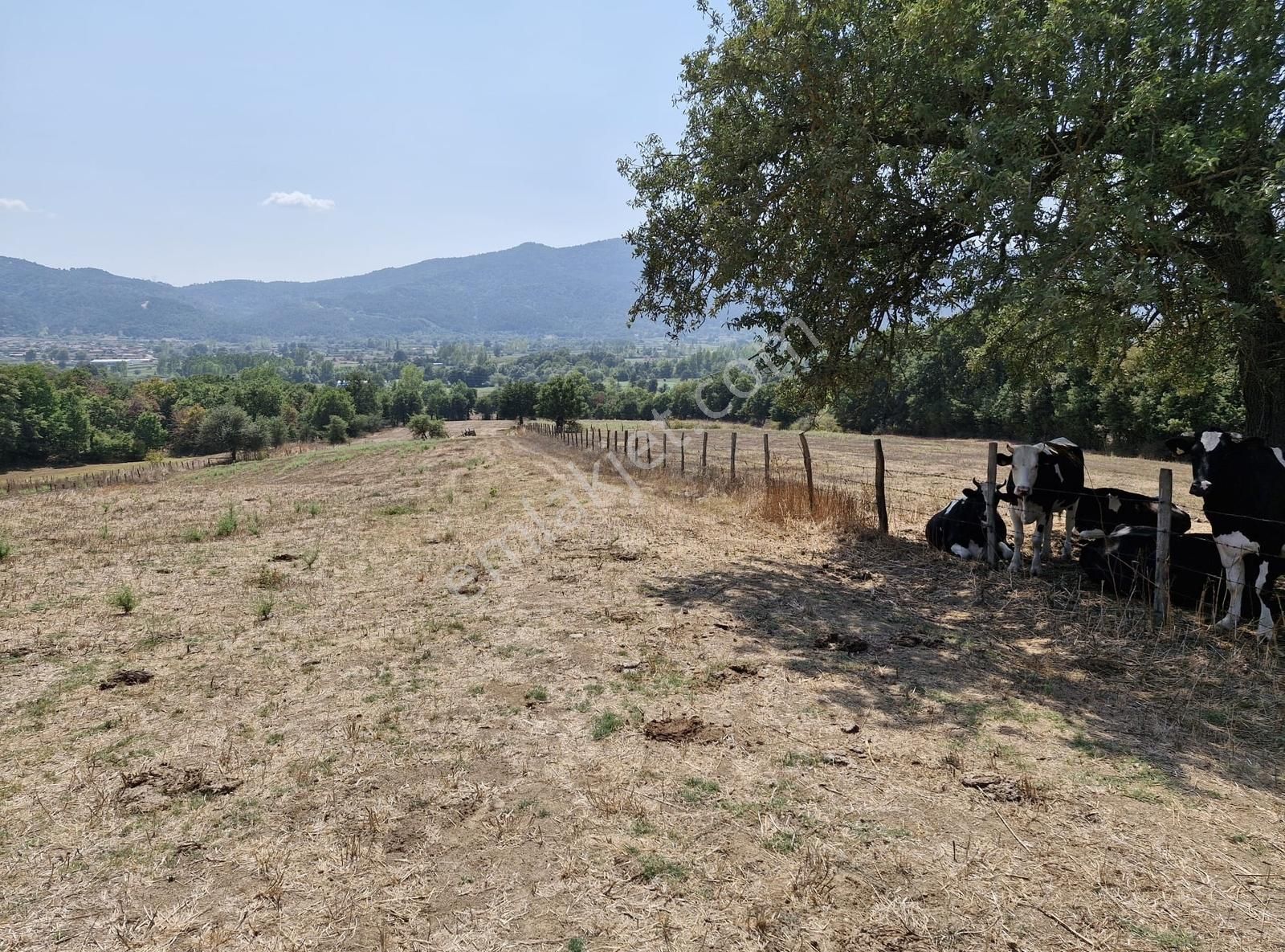 Çanakkale Yenice Çakıroba Satılık Tarla - Görsel 34