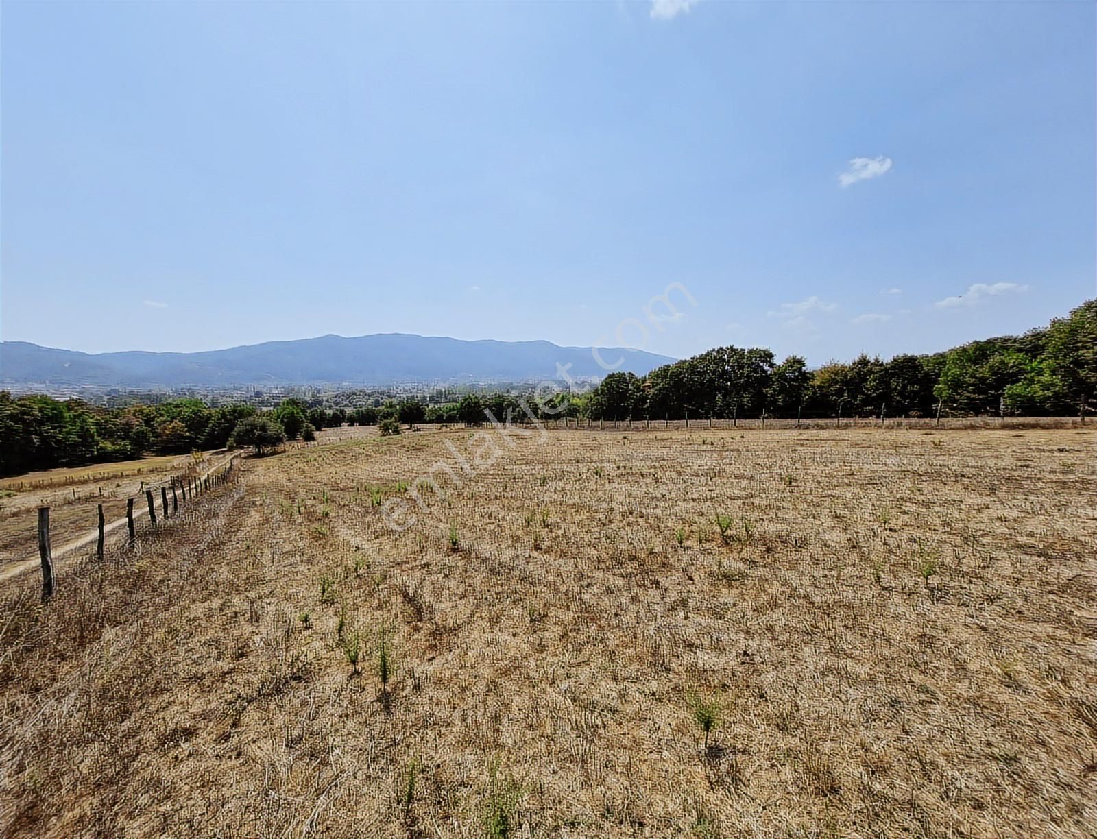 Çanakkale Yenice Çakıroba Satılık Tarla - Görsel 12
