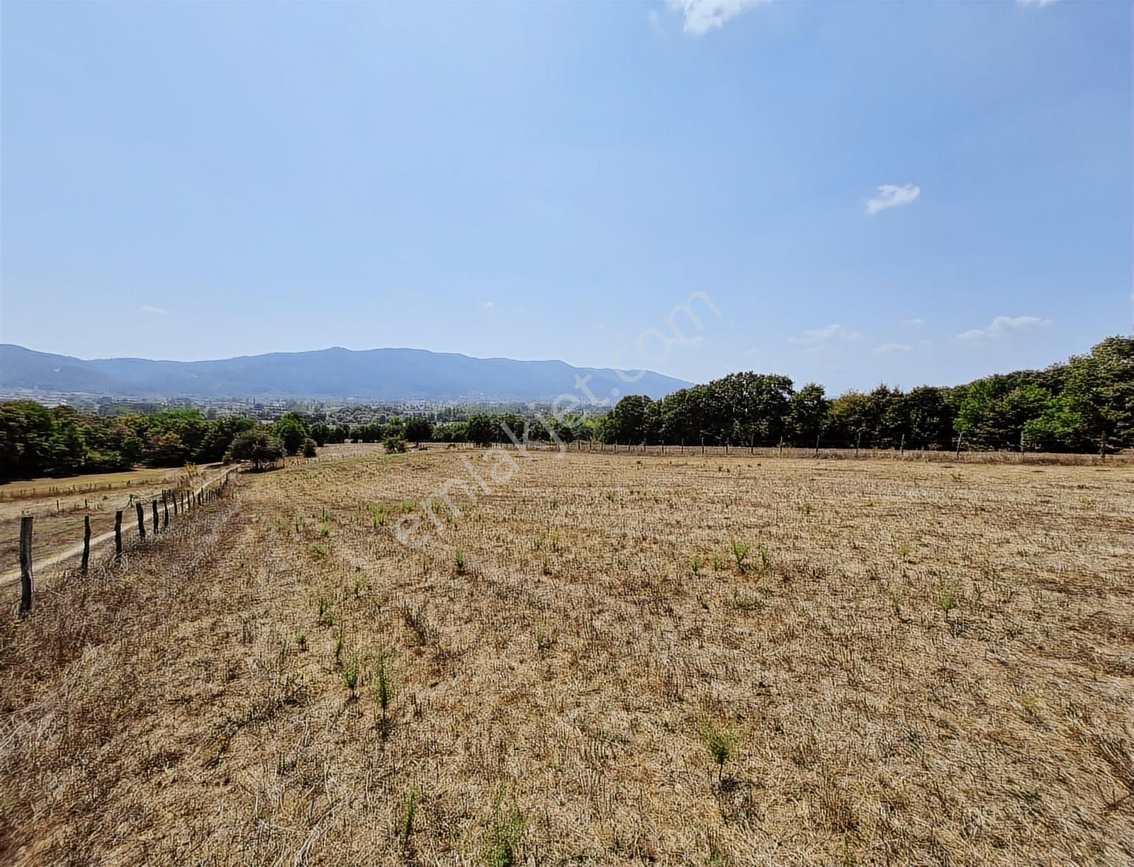 Çanakkale Yenice Çakıroba Satılık Tarla - Görsel 13