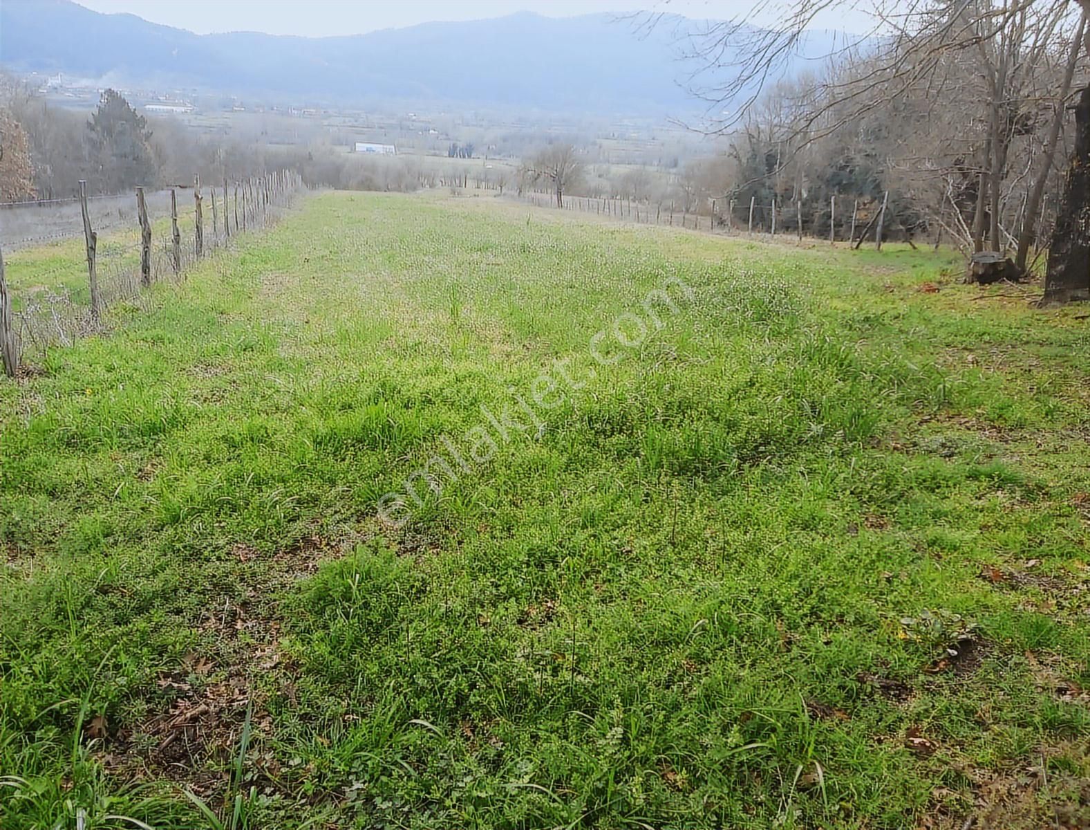 Çanakkale Yenice Çakıroba Satılık Tarla - Görsel 33