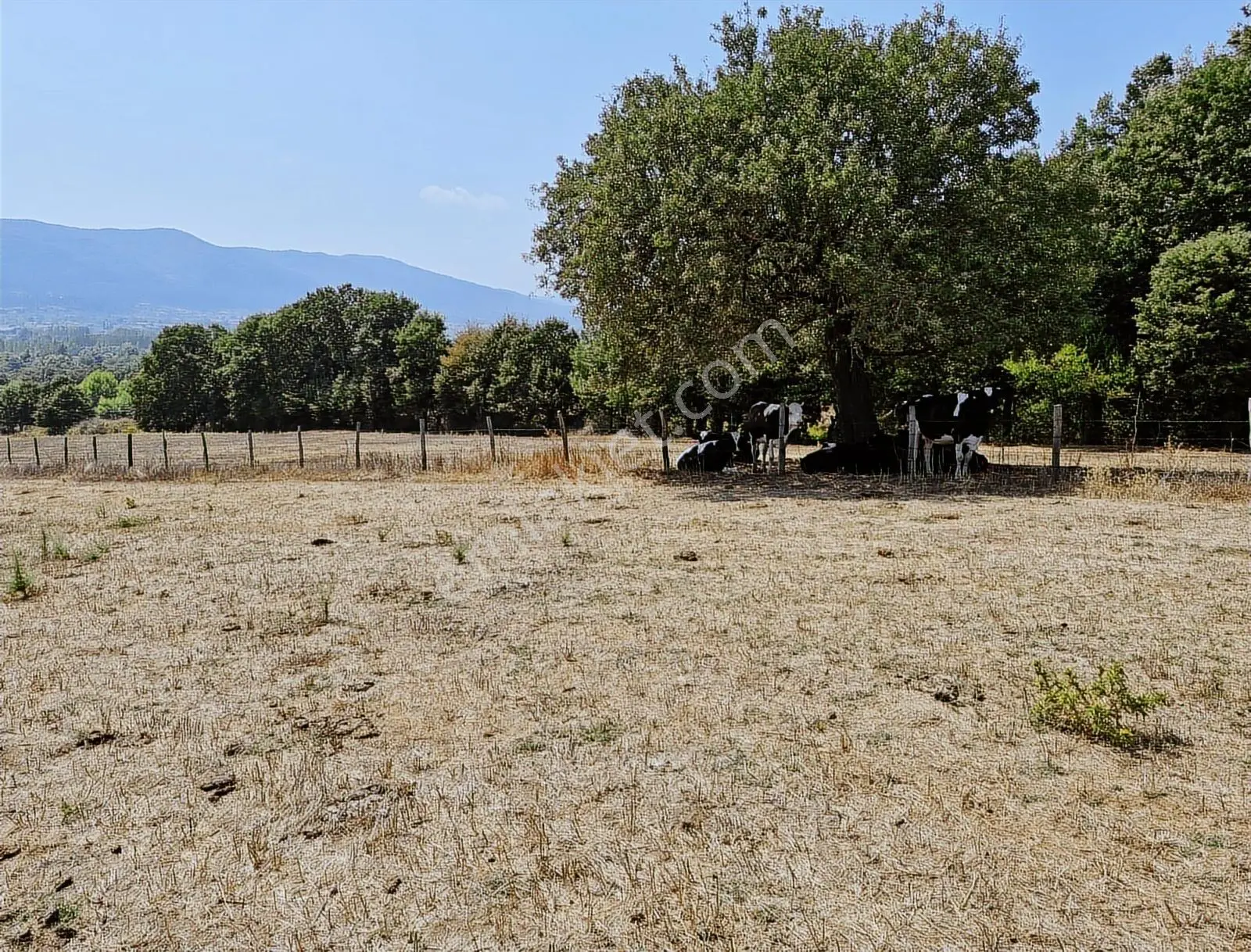 Çanakkale Yenice Çakıroba Satılık Tarla - Görsel 15