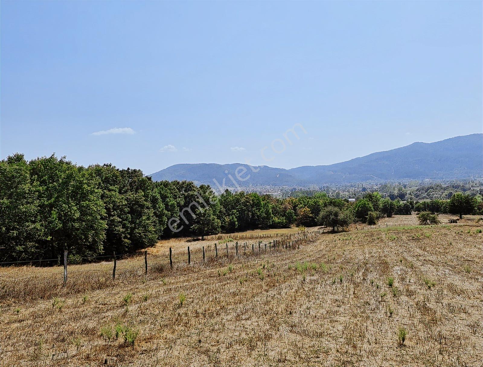 Çanakkale Yenice Çakıroba Satılık Tarla - Görsel 8