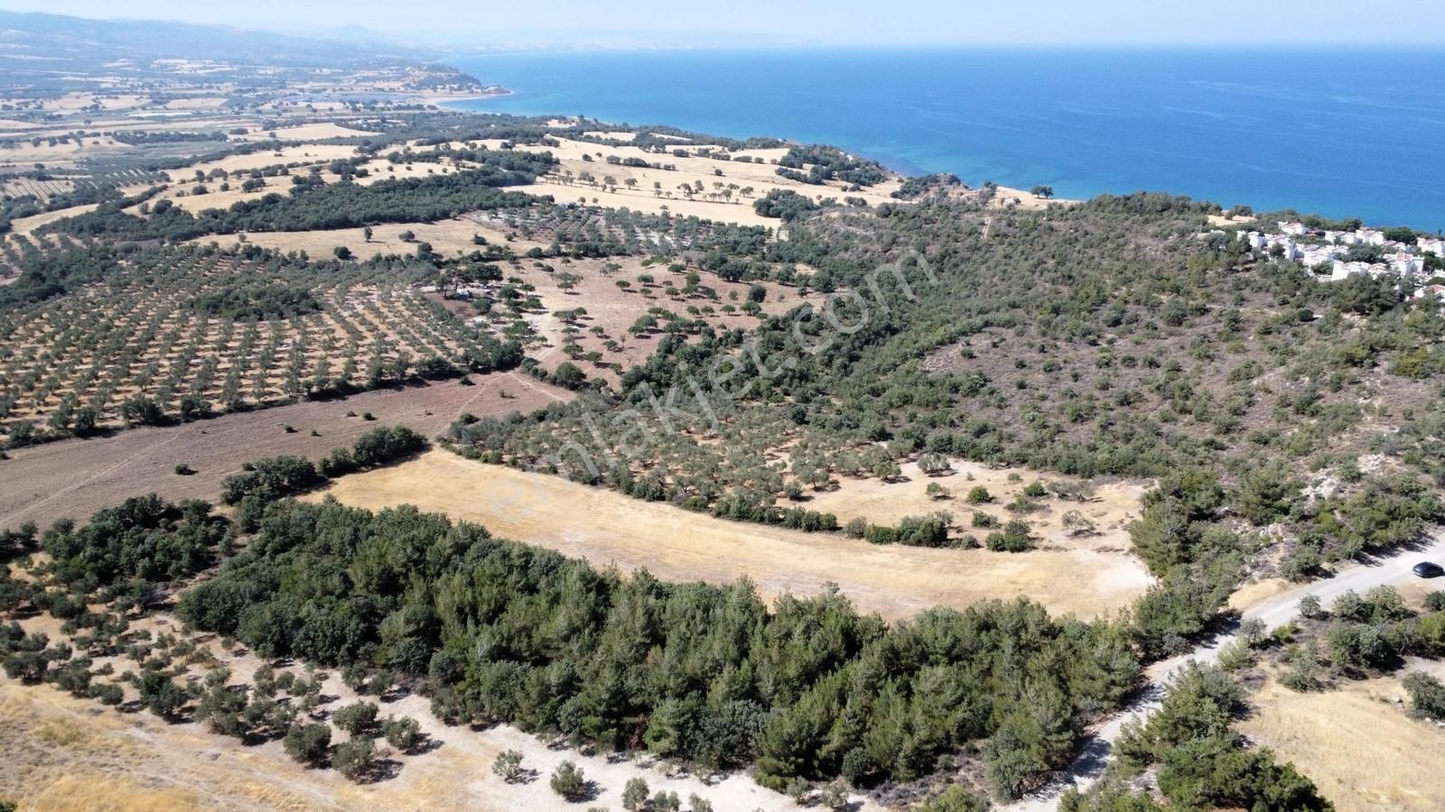 Çanakkale Ezine Akçakeçili Satılık Tarla - Görsel 13