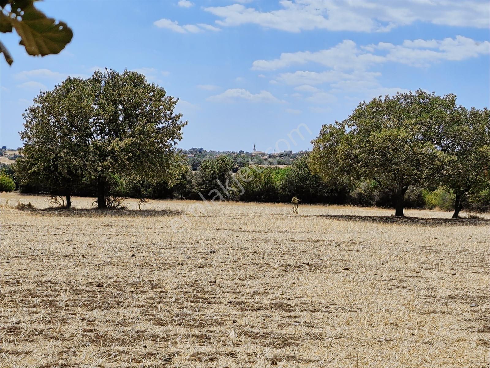 Çanakkale Bayramiç Yiğitler Satılık Tarla - Görsel 2