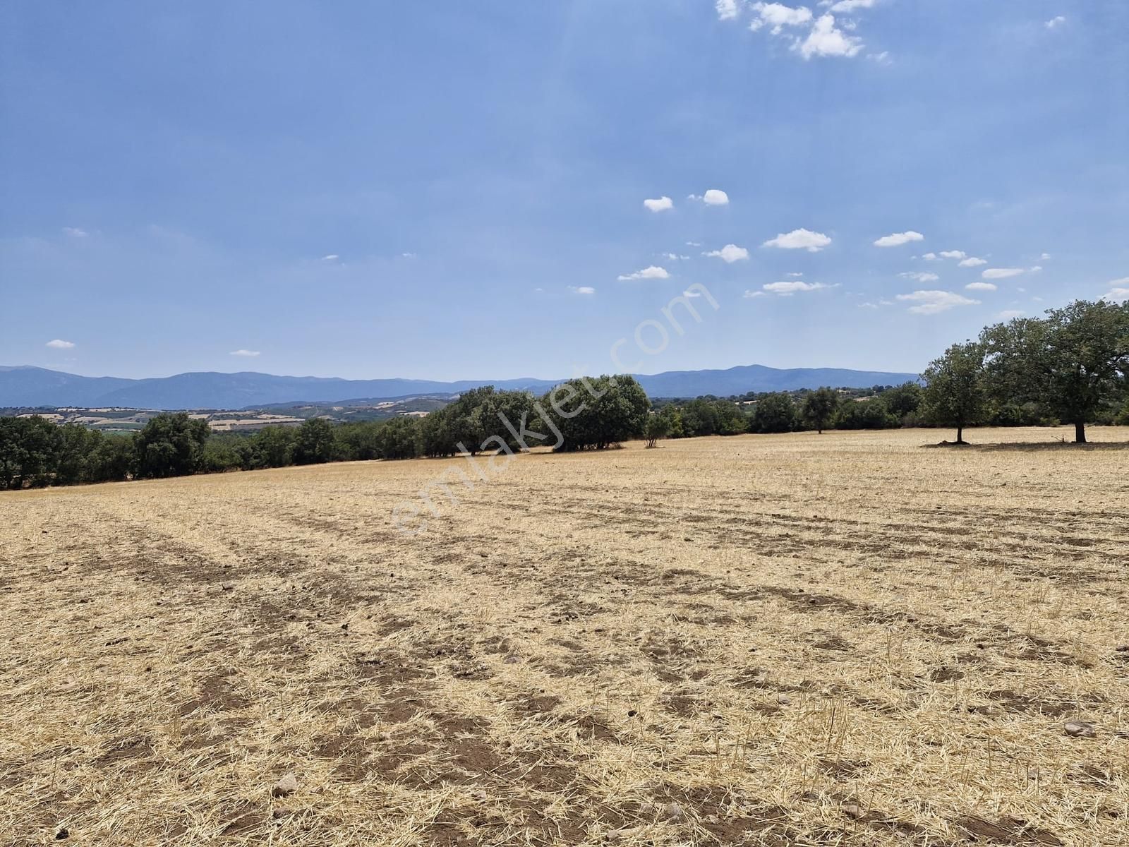 Çanakkale Bayramiç Yiğitler Satılık Tarla - Görsel 28