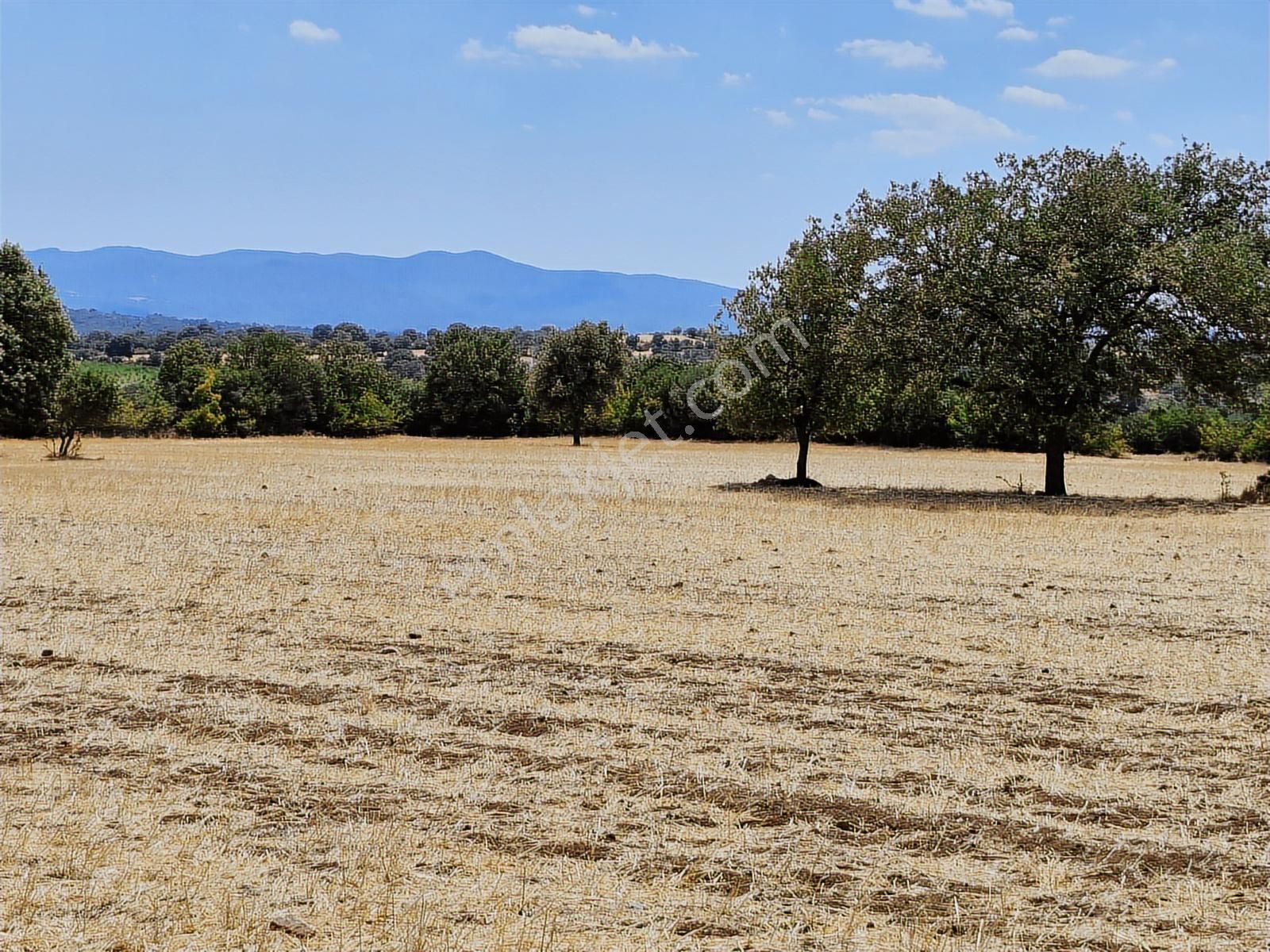 Çanakkale Bayramiç Yiğitler Satılık Tarla - Görsel 29