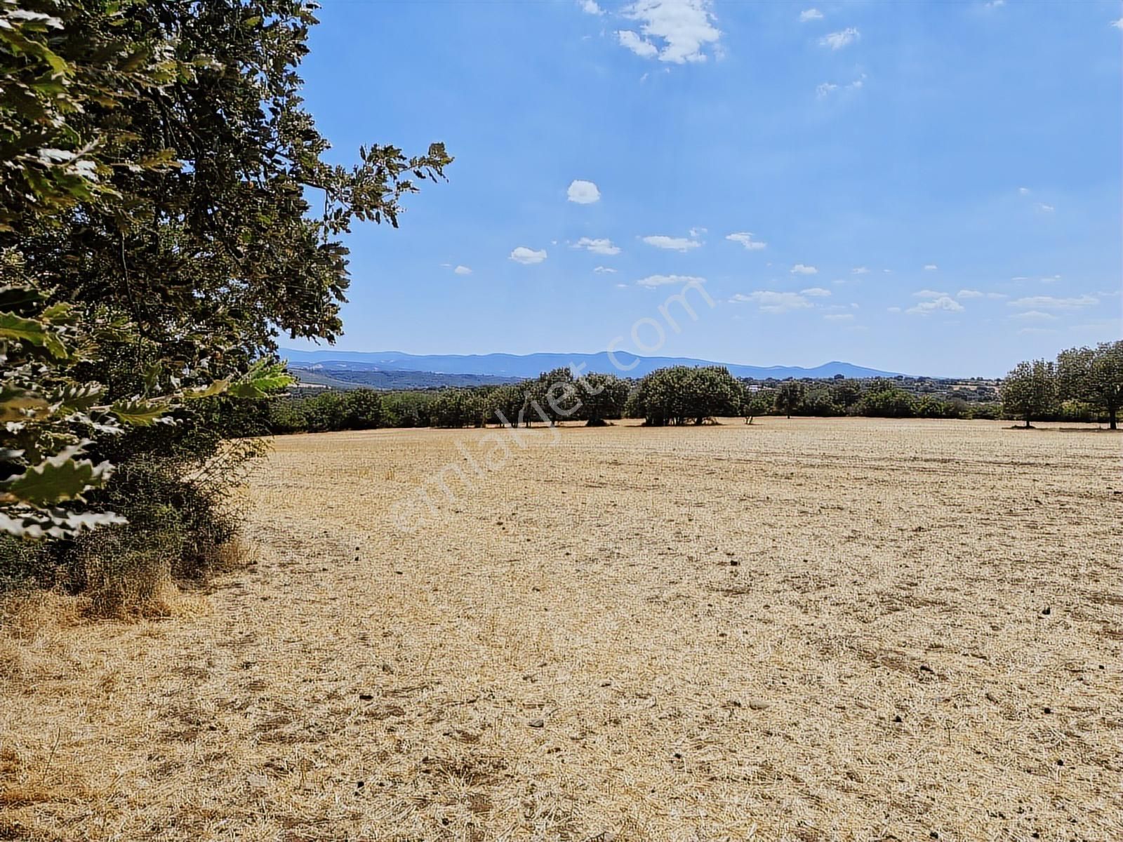 Çanakkale Bayramiç Yiğitler Satılık Tarla - Görsel 26