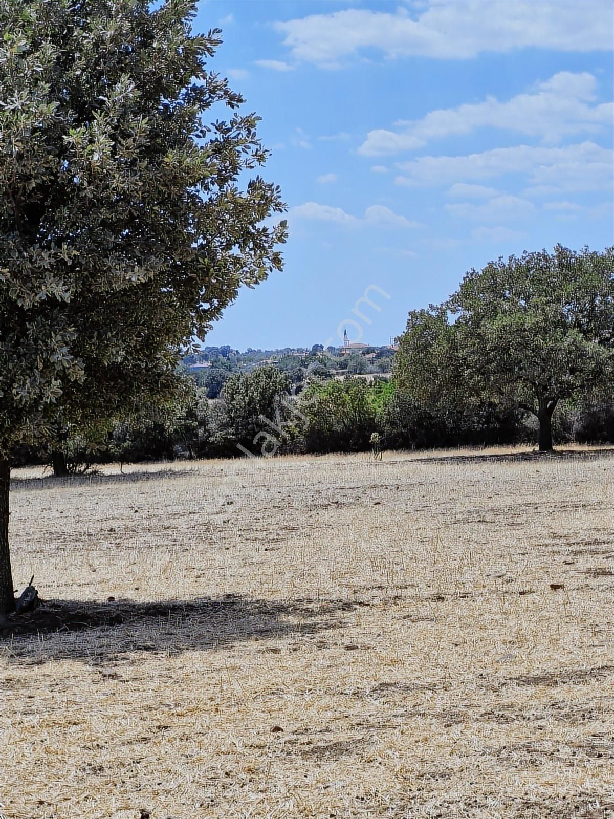 Çanakkale Bayramiç Yiğitler Satılık Tarla