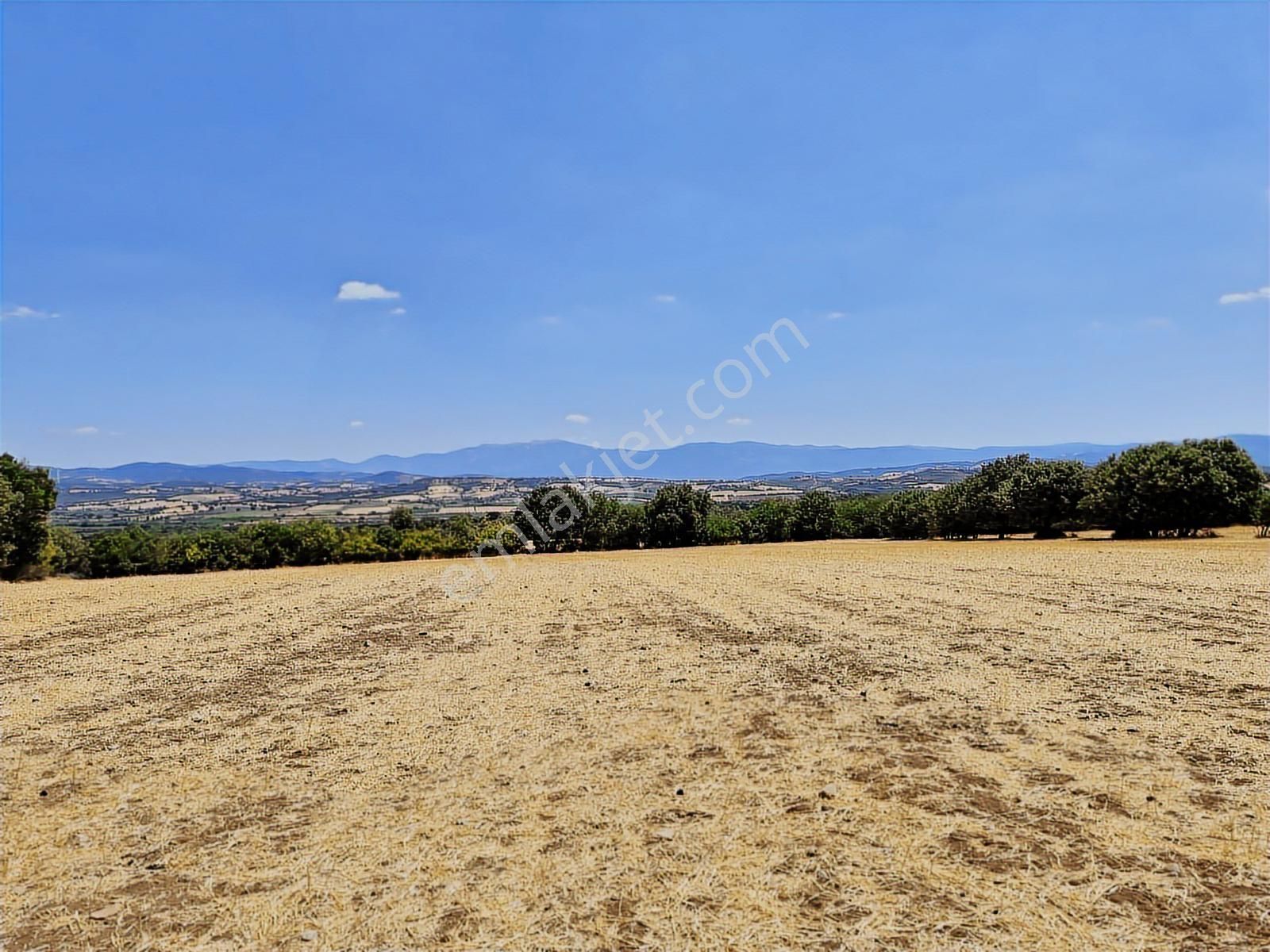 Çanakkale Bayramiç Yiğitler Satılık Tarla - Görsel 22