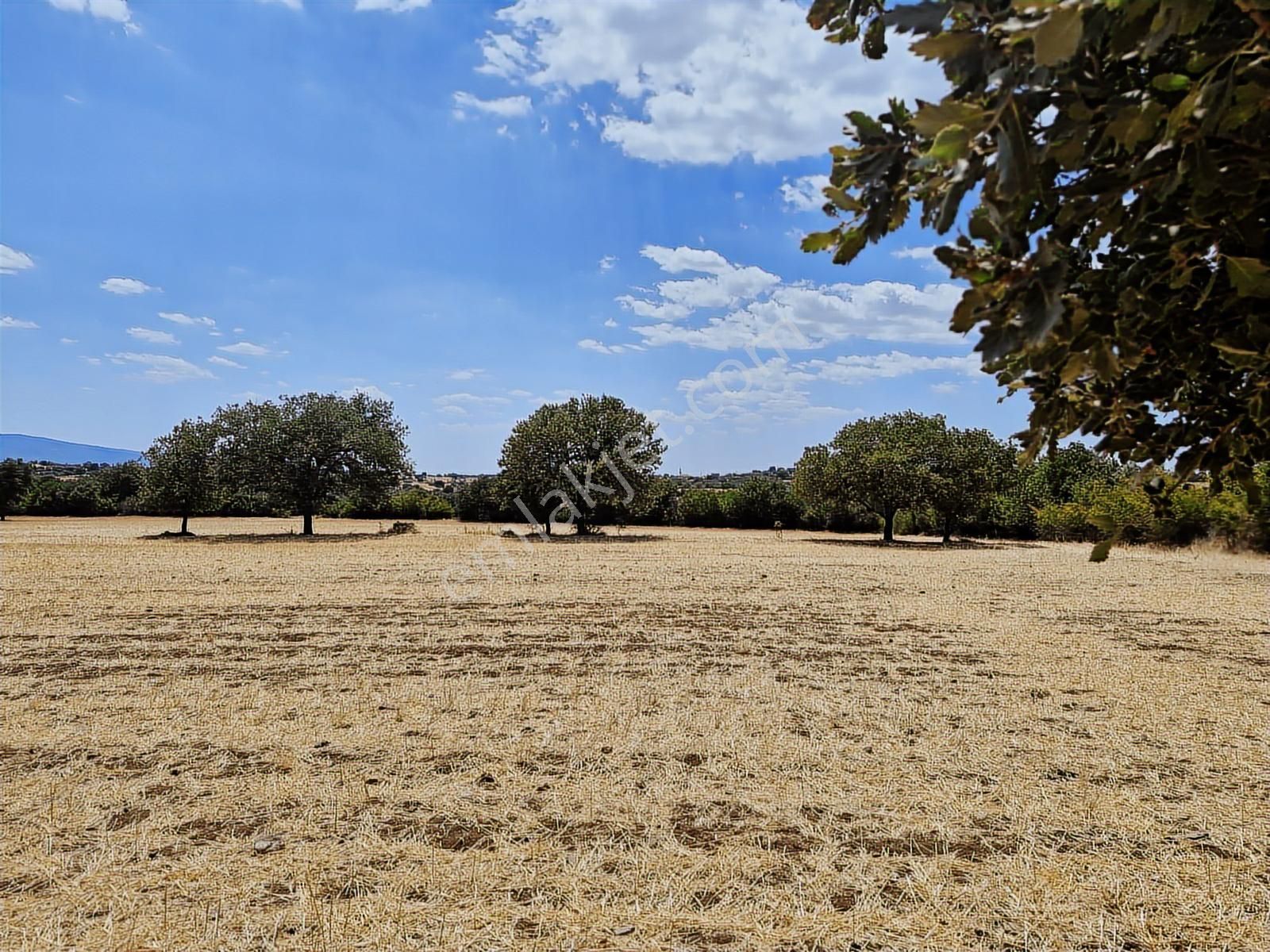 Çanakkale Bayramiç Yiğitler Satılık Tarla - Görsel 14