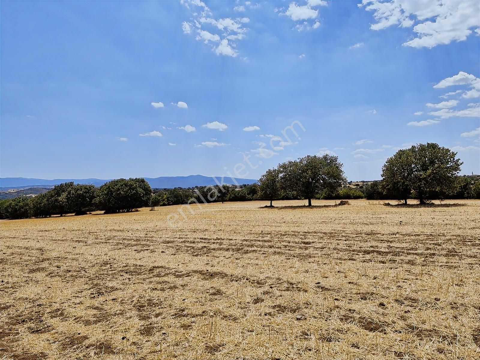 Çanakkale Bayramiç Yiğitler Satılık Tarla - Görsel 16
