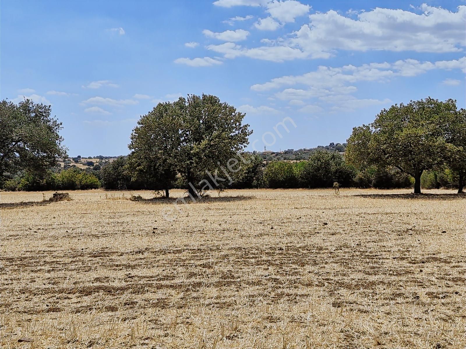 Çanakkale Bayramiç Yiğitler Satılık Tarla - Görsel 3