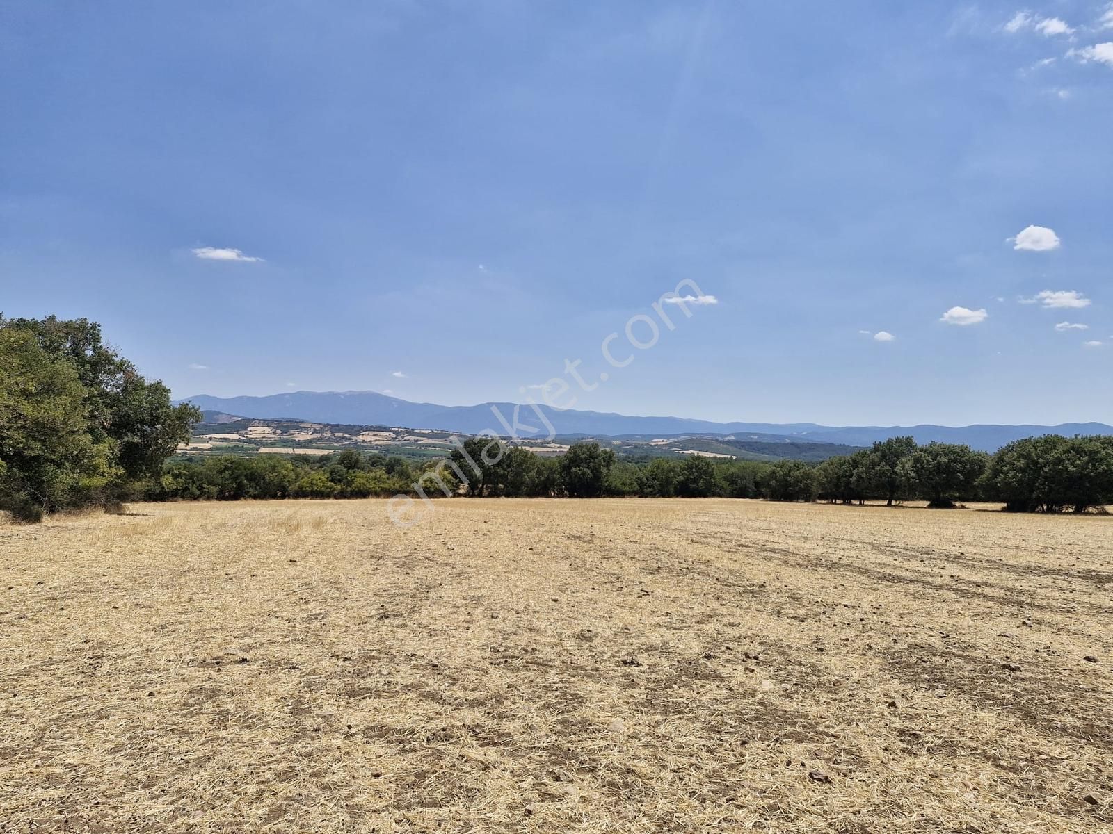 Çanakkale Bayramiç Yiğitler Satılık Tarla - Görsel 34