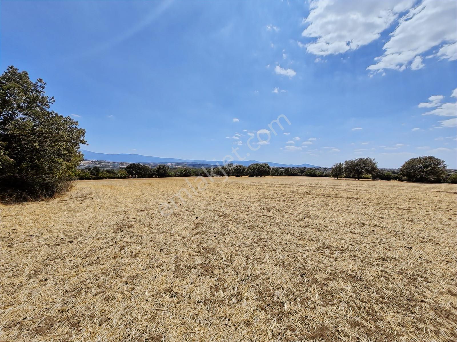 Çanakkale Bayramiç Yiğitler Satılık Tarla - Görsel 35