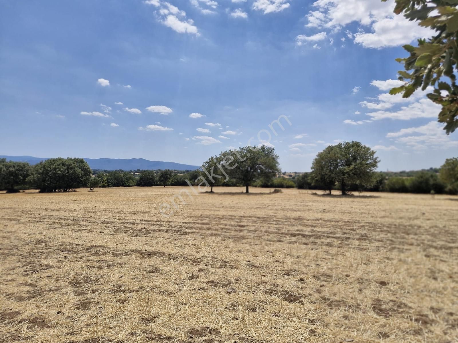 Çanakkale Bayramiç Yiğitler Satılık Tarla - Görsel 30