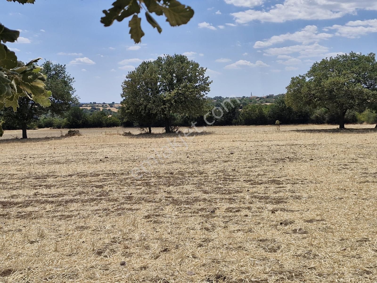 Çanakkale Bayramiç Yiğitler Satılık Tarla - Görsel 23