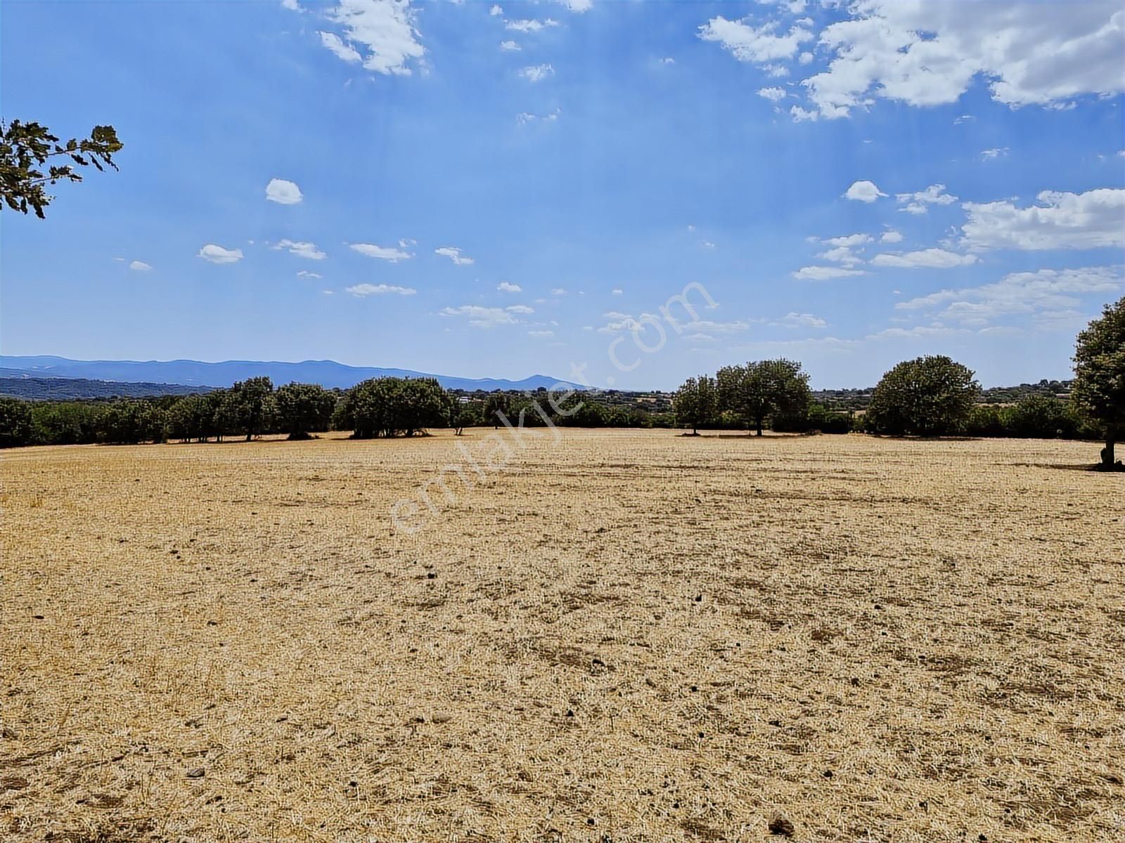 Çanakkale Bayramiç Yiğitler Satılık Tarla - Görsel 10