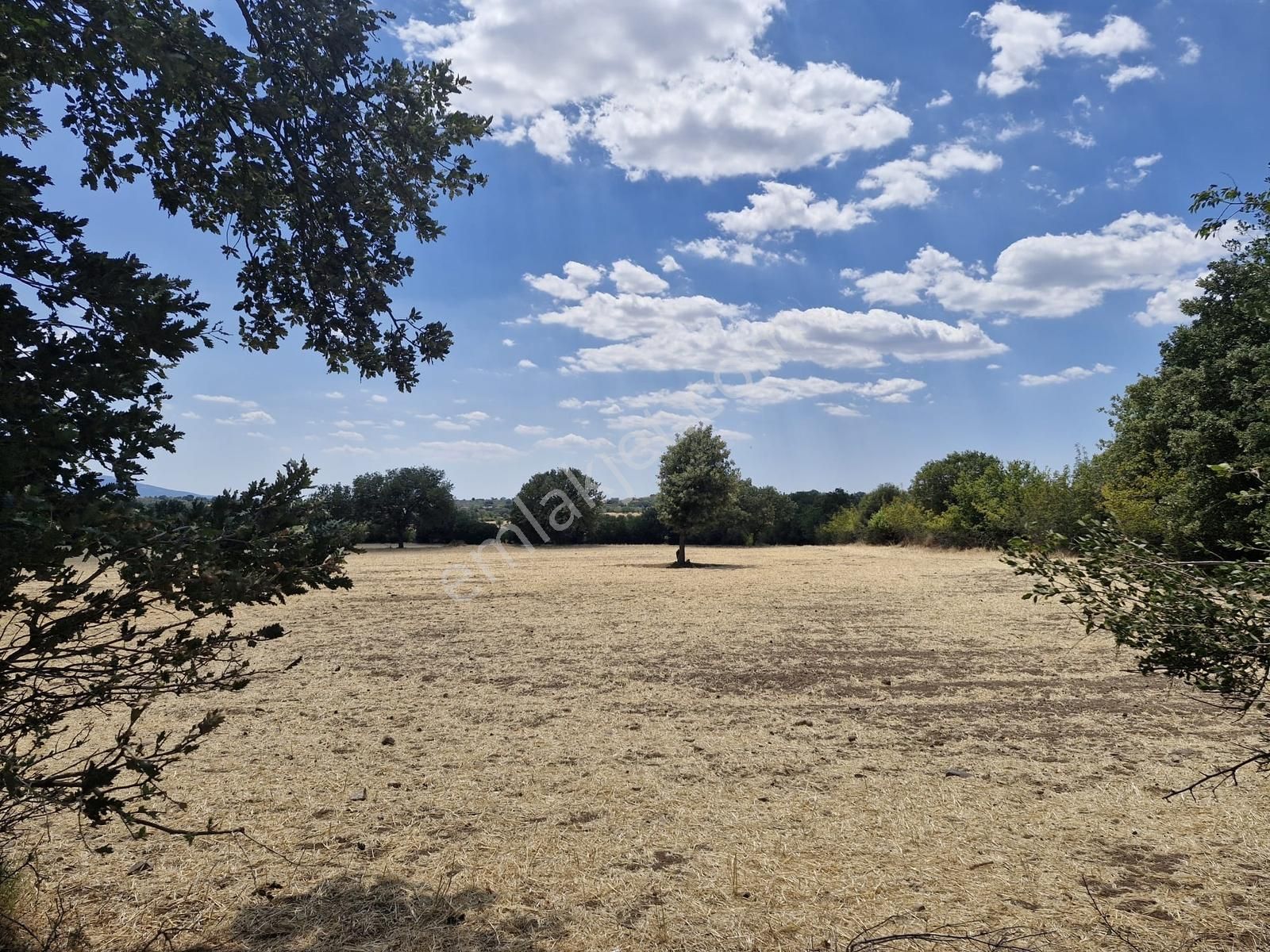 Çanakkale Bayramiç Yiğitler Satılık Tarla - Görsel 4