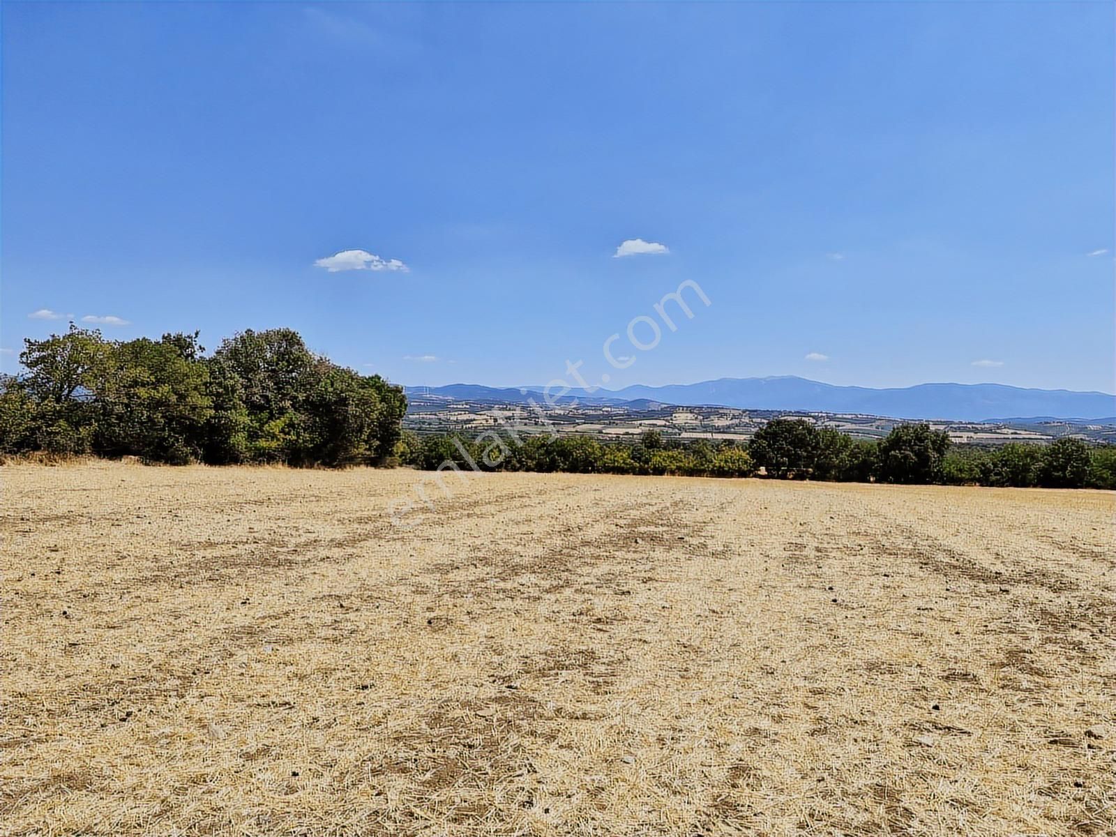 Çanakkale Bayramiç Yiğitler Satılık Tarla - Görsel 9