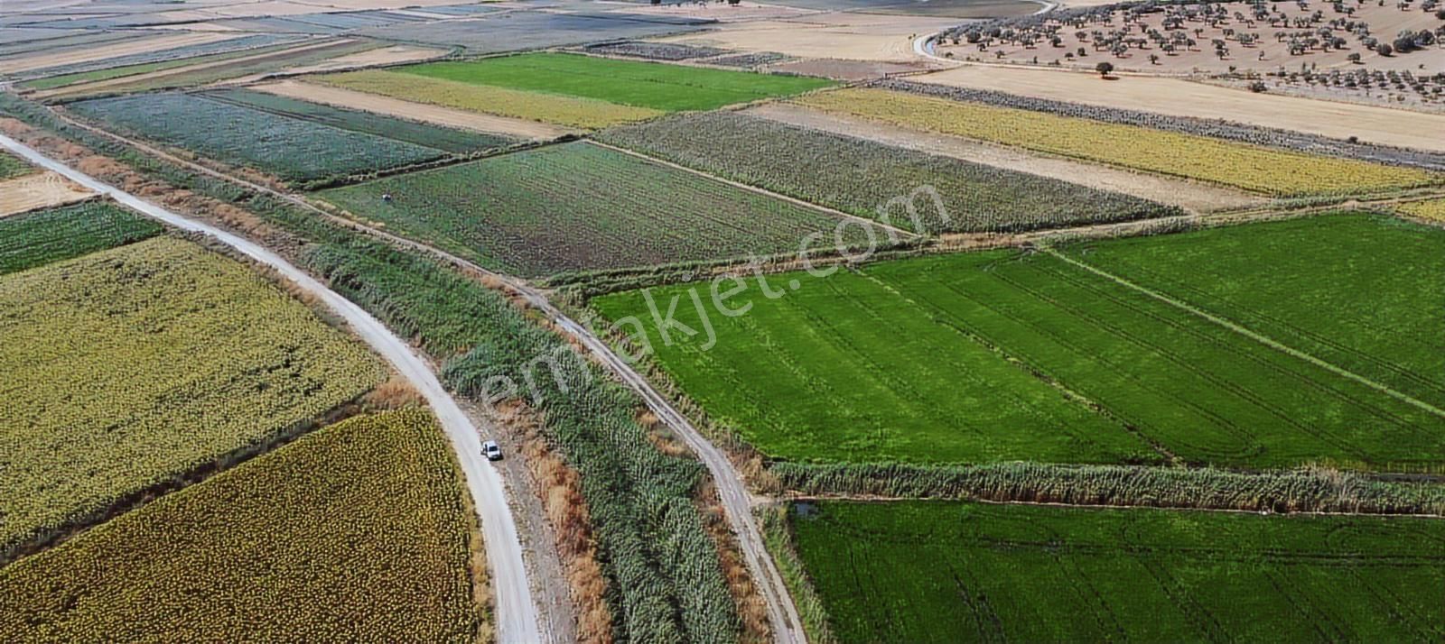 Çanakkale Ezine Mahmudiye Ova Arazisi Satılık Tarla - Görsel 10