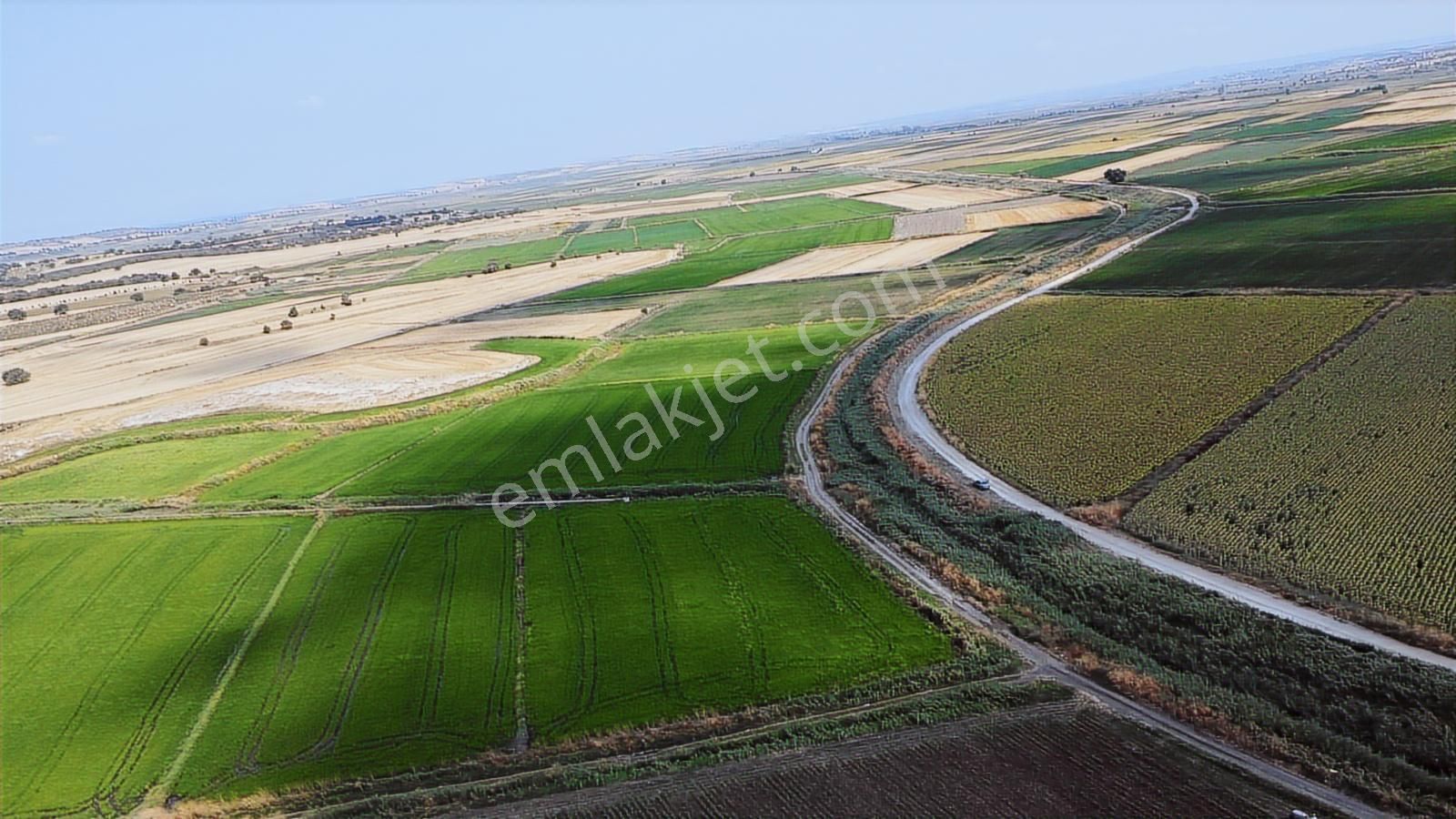 Çanakkale Ezine Mahmudiye Ova Arazisi Satılık Tarla - Görsel 15