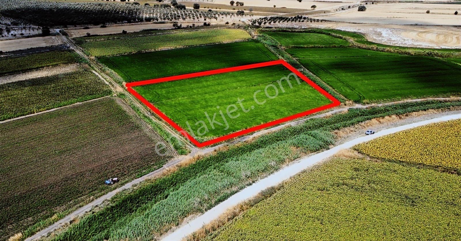 Çanakkale Ezine Mahmudiye Ova Arazisi Satılık Tarla