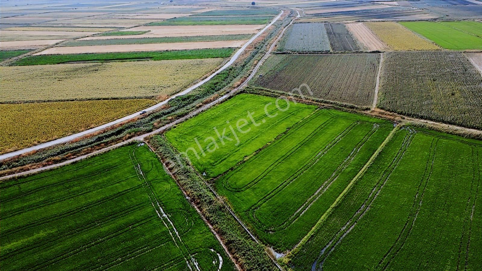 Çanakkale Ezine Mahmudiye Ova Arazisi Satılık Tarla - Görsel 7