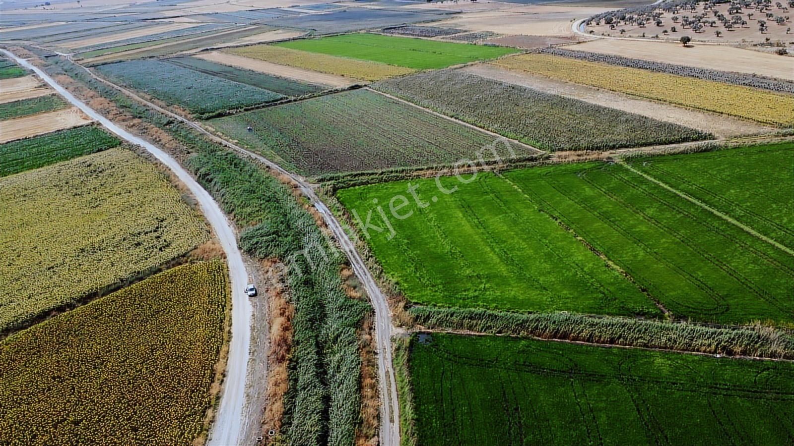 Çanakkale Ezine Mahmudiye Ova Arazisi Satılık Tarla - Görsel 9