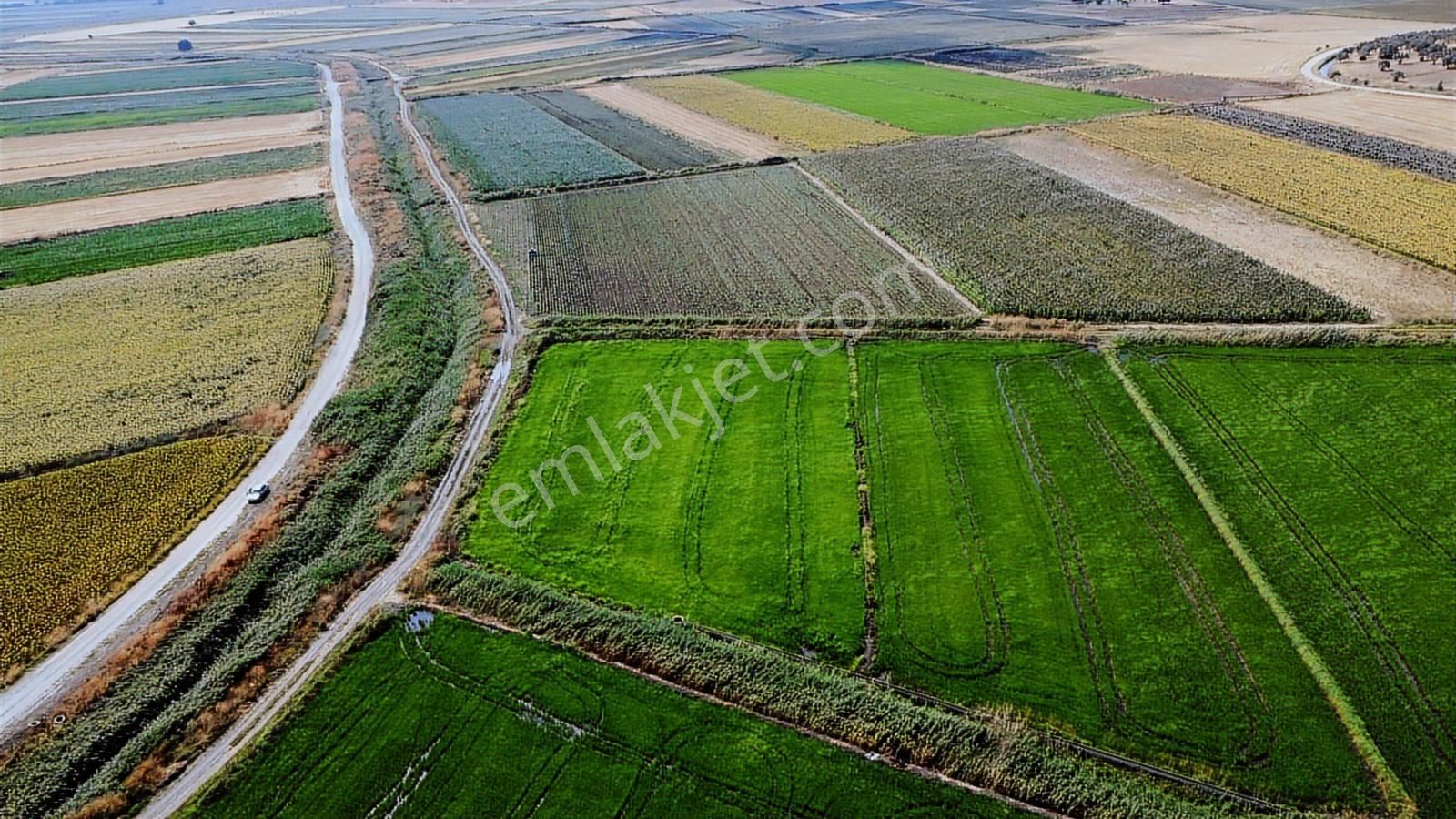 Çanakkale Ezine Mahmudiye Ova Arazisi Satılık Tarla - Görsel 2