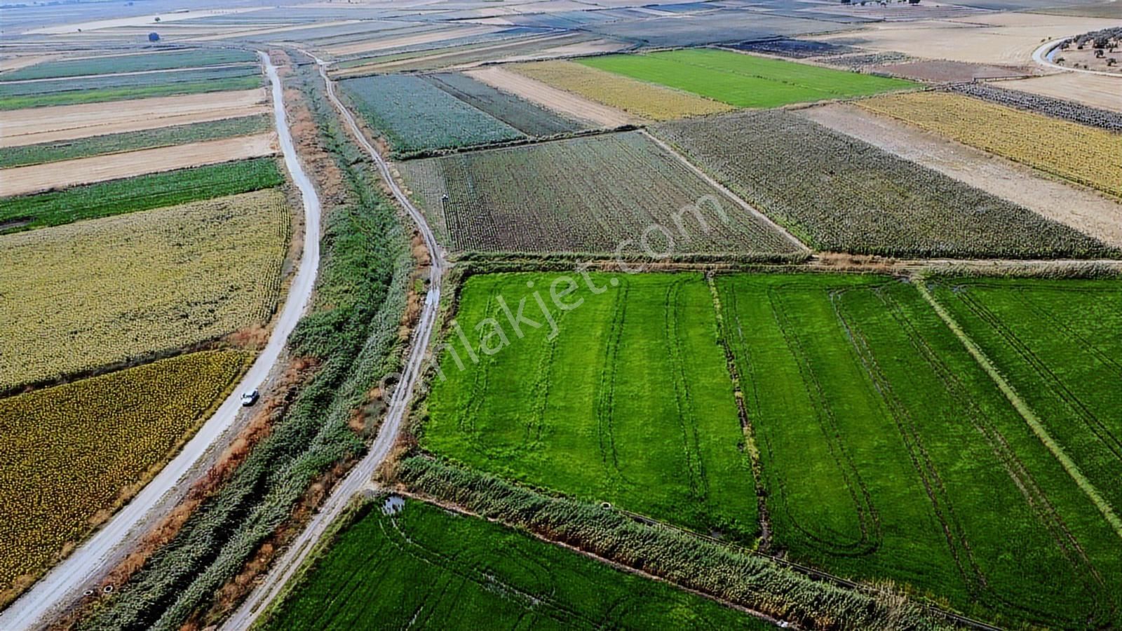 Çanakkale Ezine Mahmudiye Ova Arazisi Satılık Tarla - Görsel 3