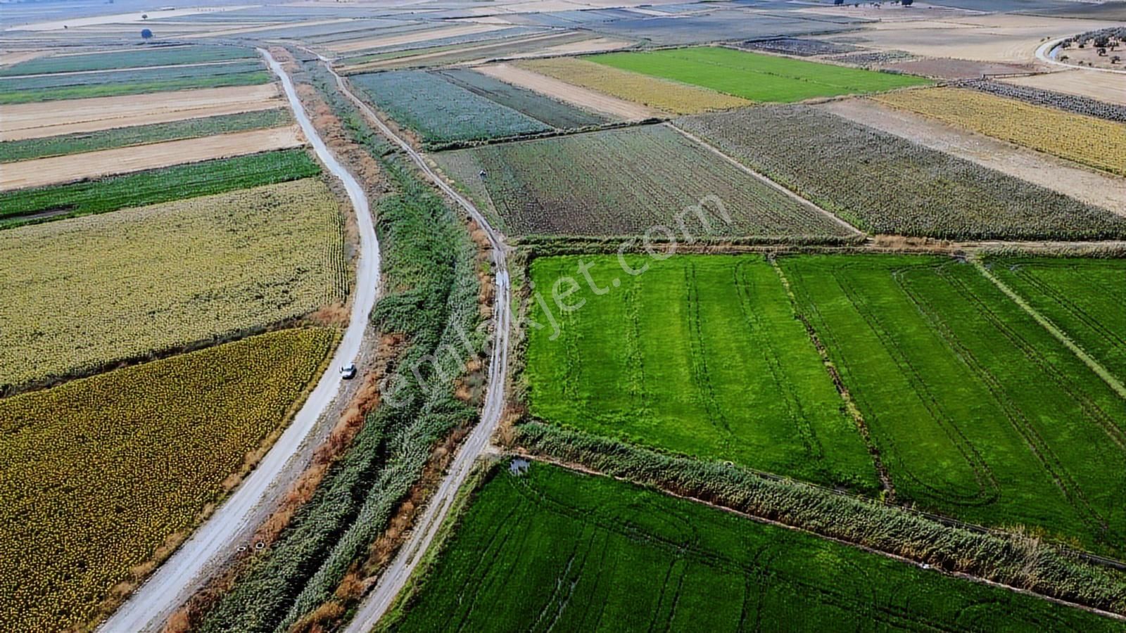 Çanakkale Ezine Mahmudiye Ova Arazisi Satılık Tarla - Görsel 8