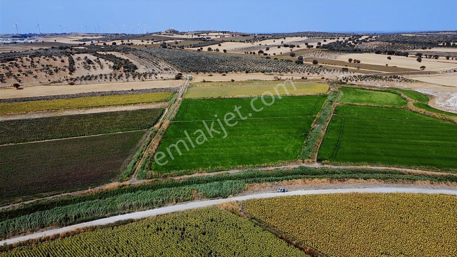 Çanakkale Ezine Mahmudiye Ova Arazisi Satılık Tarla - Görsel 18