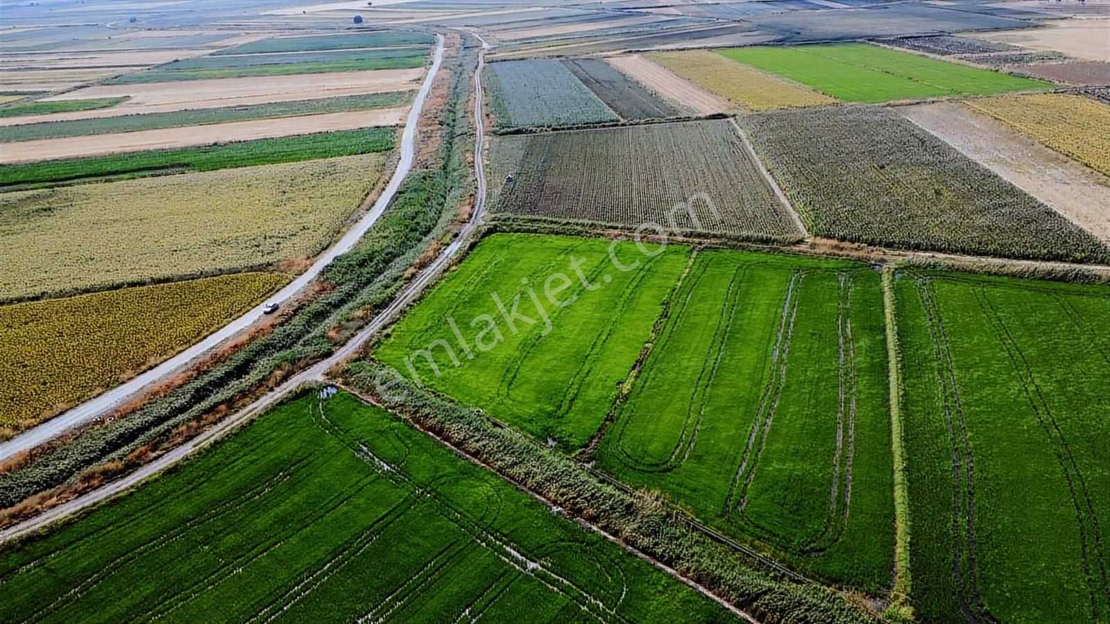 Çanakkale Ezine Mahmudiye Ova Arazisi Satılık Tarla - Görsel 17