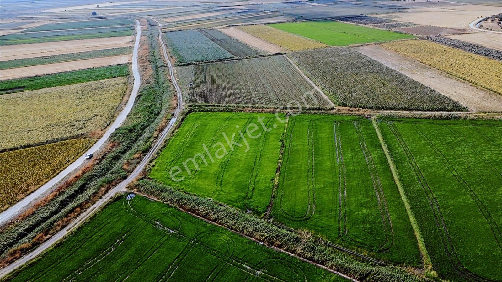 Çanakkale Ezine Mahmudiye Ova Arazisi Satılık Tarla - Görsel 25
