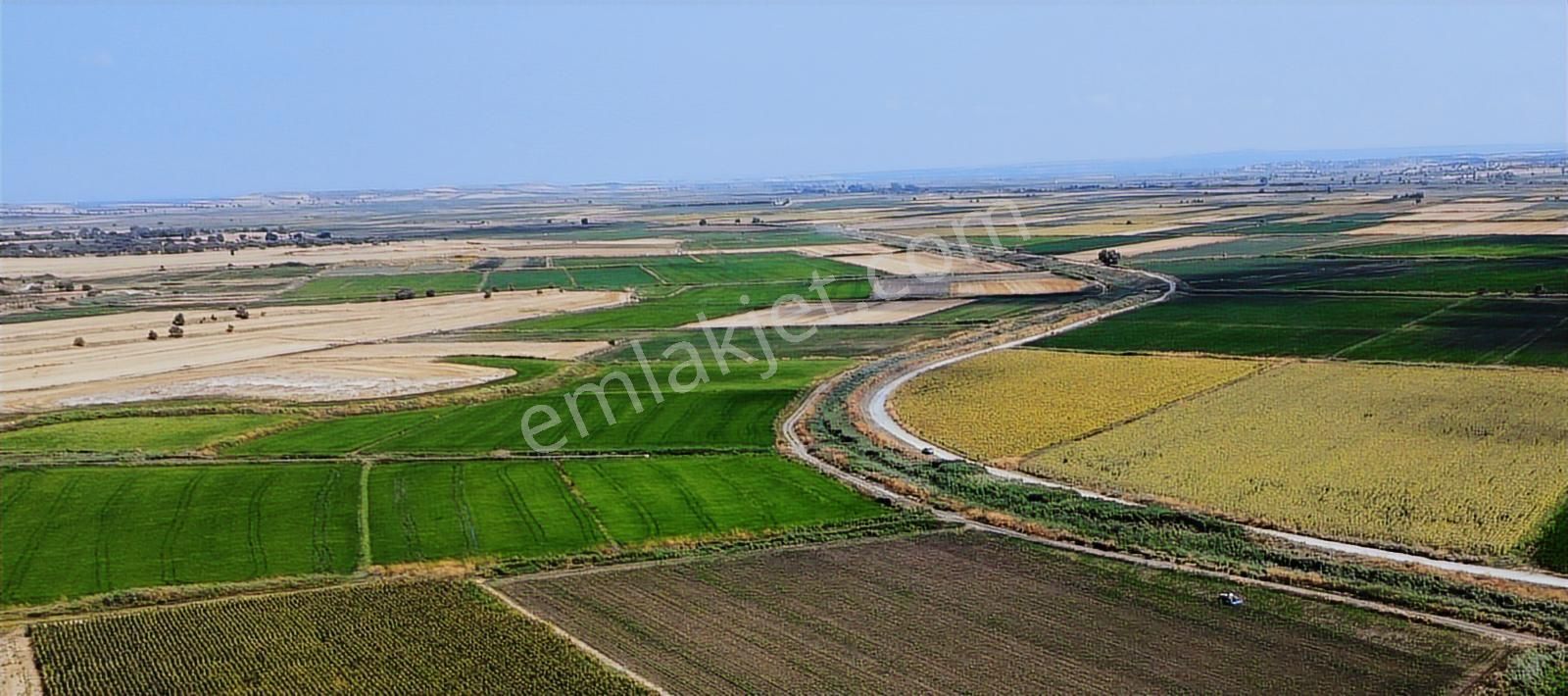 Çanakkale Ezine Mahmudiye Ova Arazisi Satılık Tarla - Görsel 12