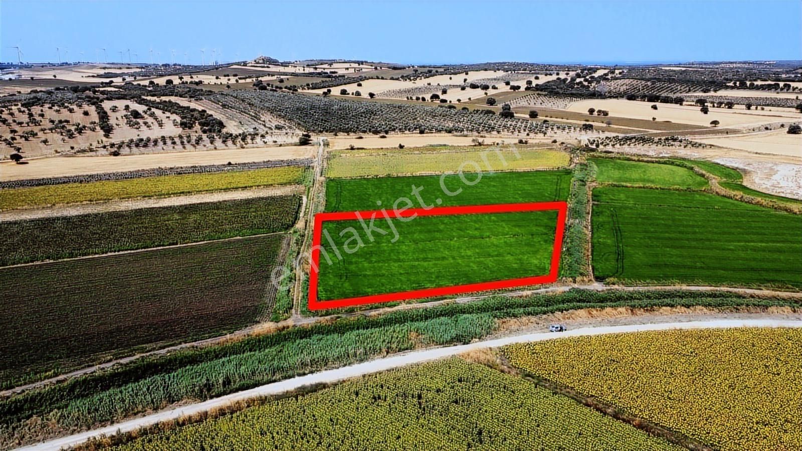 Çanakkale Ezine Mahmudiye Ova Arazisi Satılık Tarla - Görsel 21