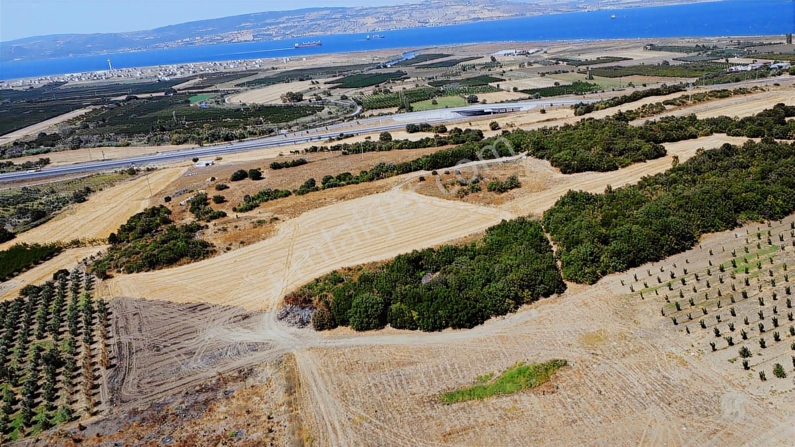 Çanakkale Lapseki Umurbey Satılık Tarla - Görsel 14